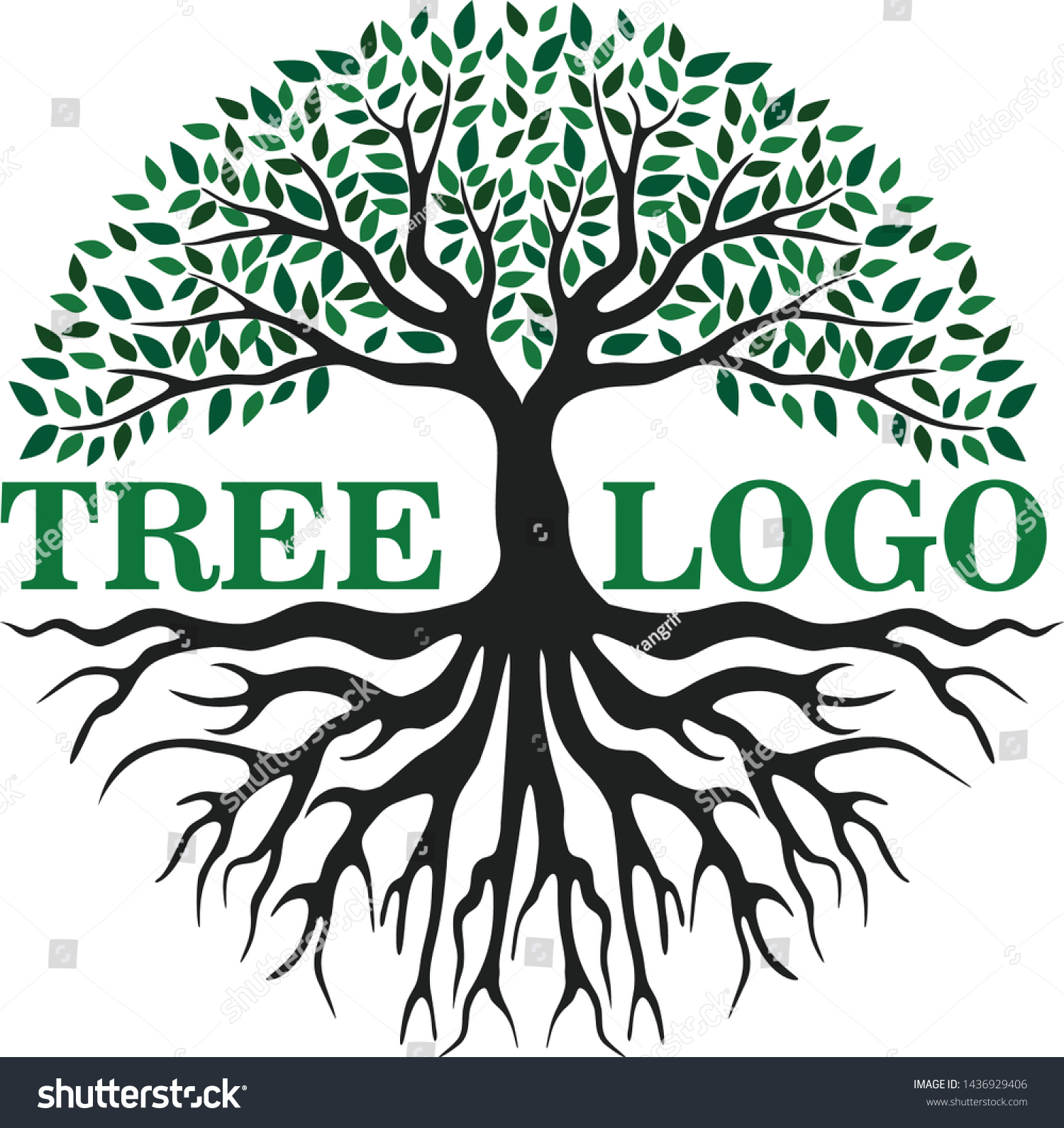 tree roots logo png