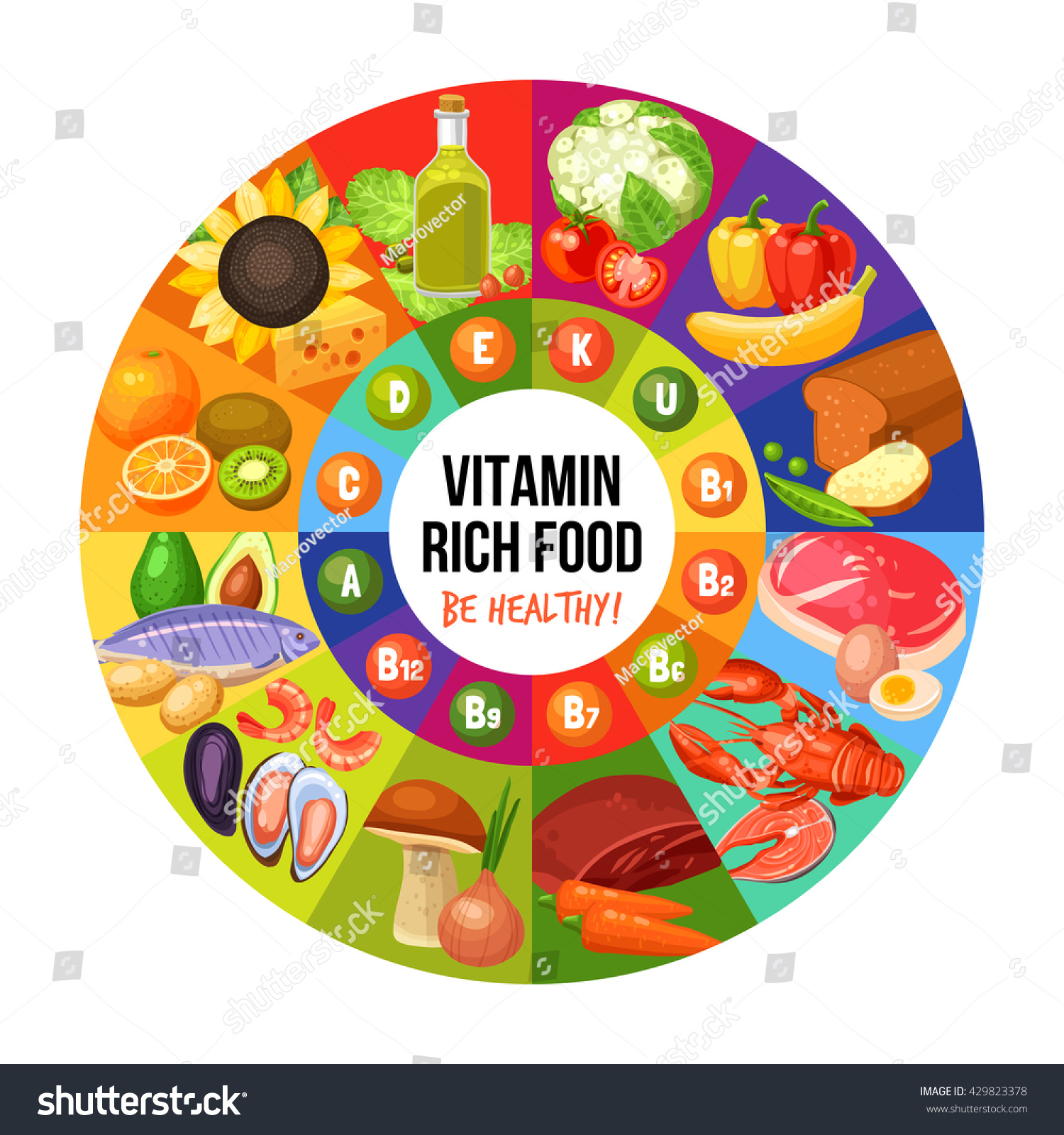 Circle Title Centre Vitamin Groups Middle Stock Vector (Royalty Free ...