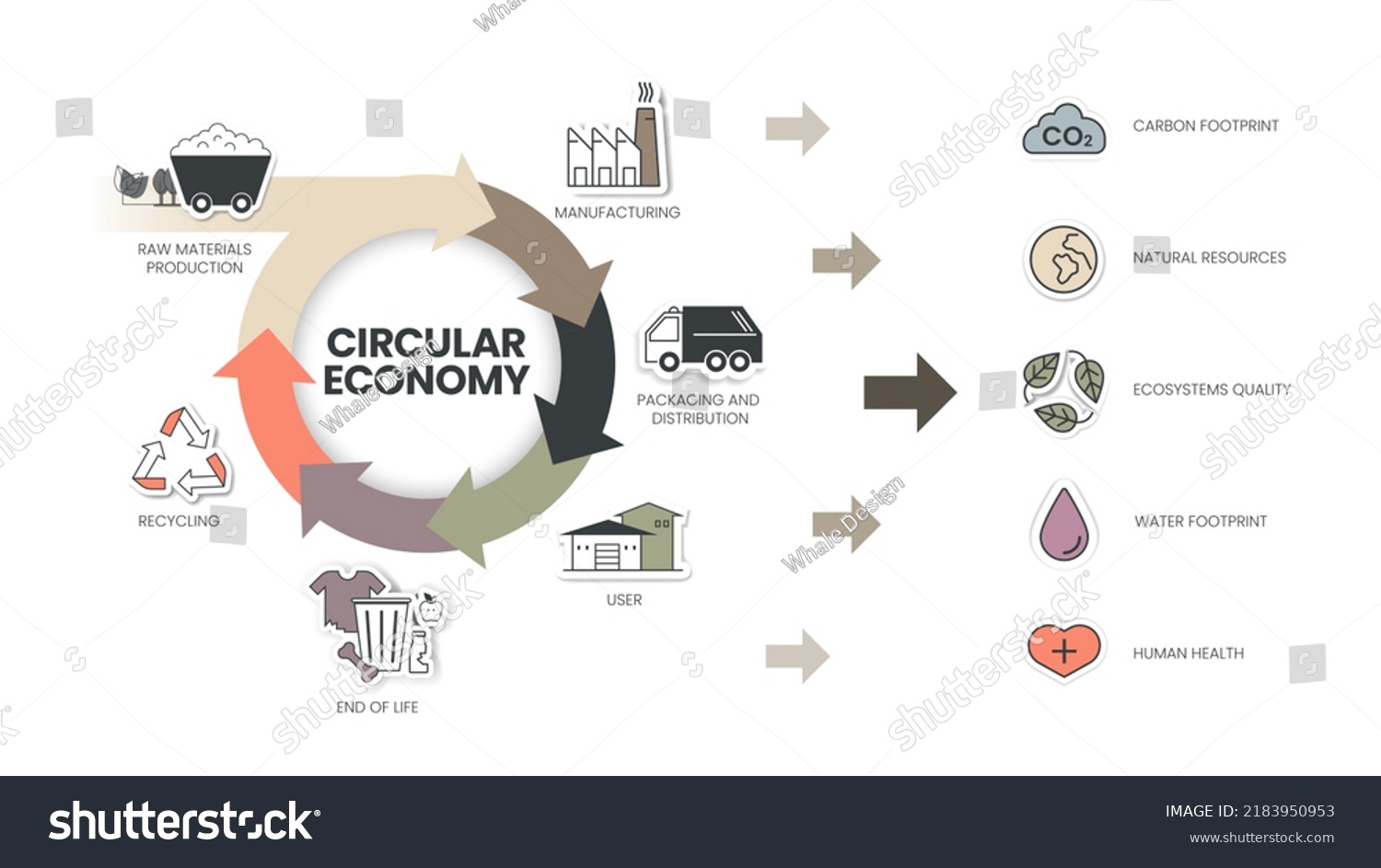 Circular Economy Infographic Diagram Has 6 Stock Vector (Royalty Free ...