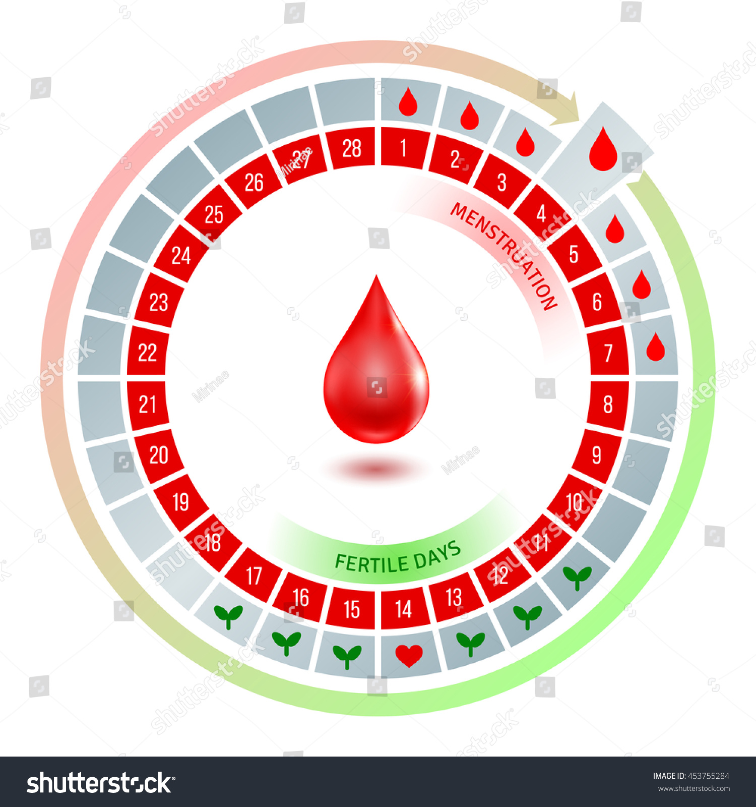 Circular Flow Chart Shiny Red Blood Stock Vector Royalty Free