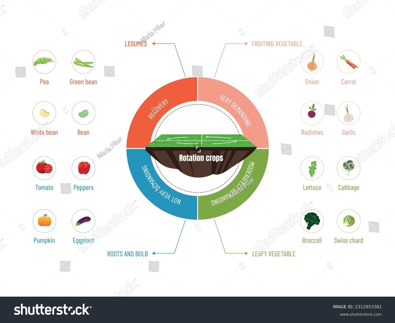SVG of Circular Infographic: Discover the Crops in Each Crop Rotation..circular diagram with seed to crop icons on a white background. svg