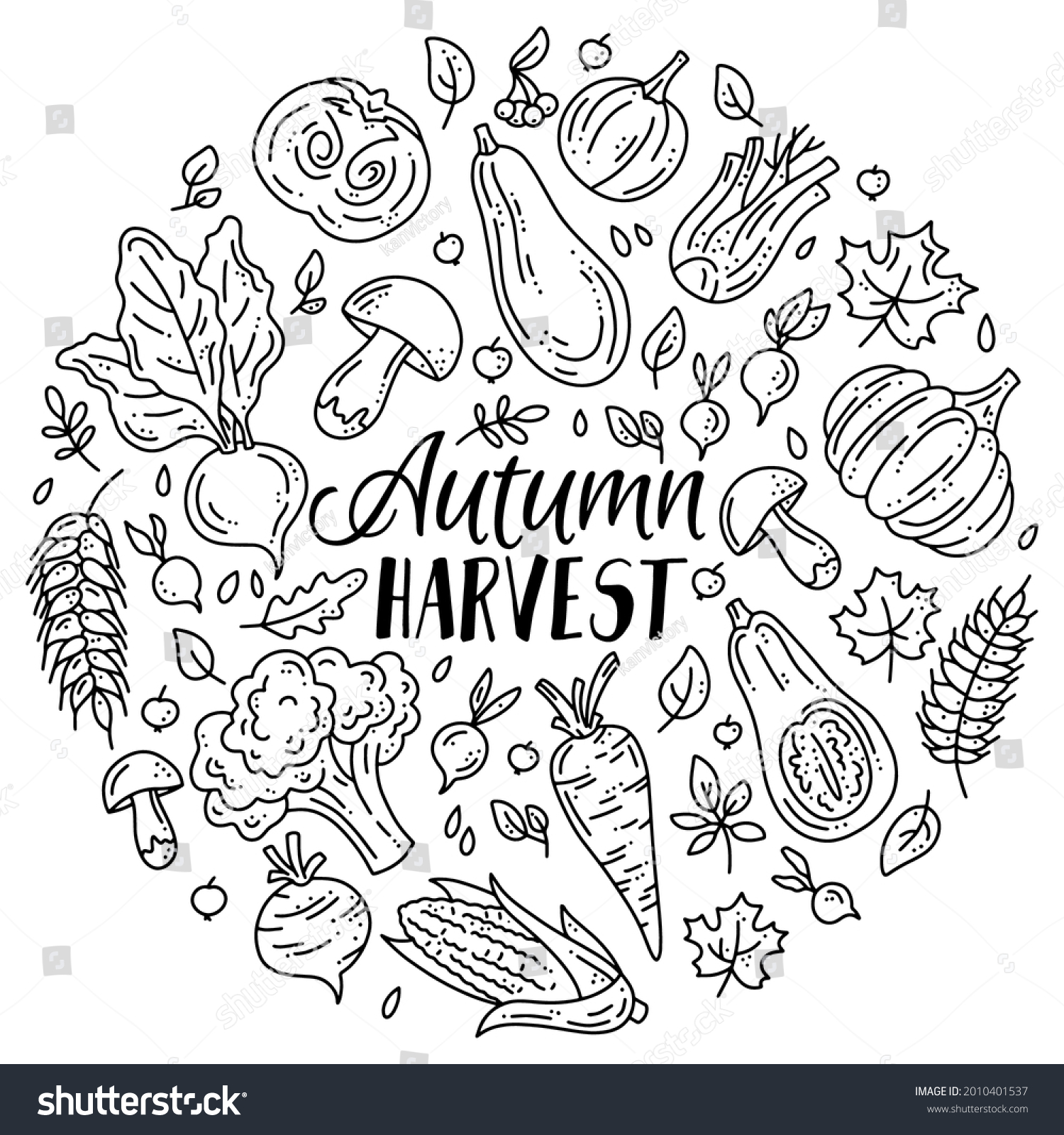 SVG of Circular vector set of vegetables and mushrooms for the autumn harvest. Linear plants in doodle sketch style. Pumpkins, mushrooms and broccoli. svg
