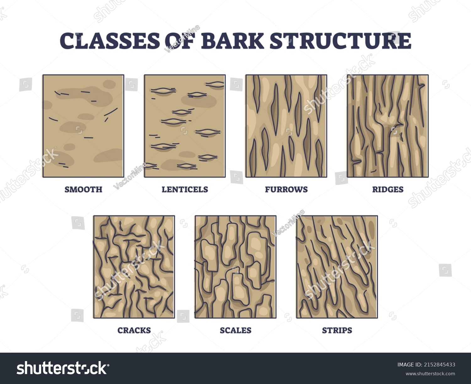 369 Tree bark identification Images, Stock Photos & Vectors Shutterstock