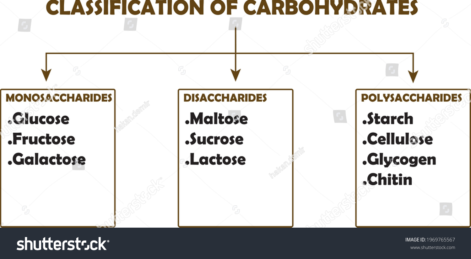 Classification Carbohydrates Monosaccharides Disaccharides ...