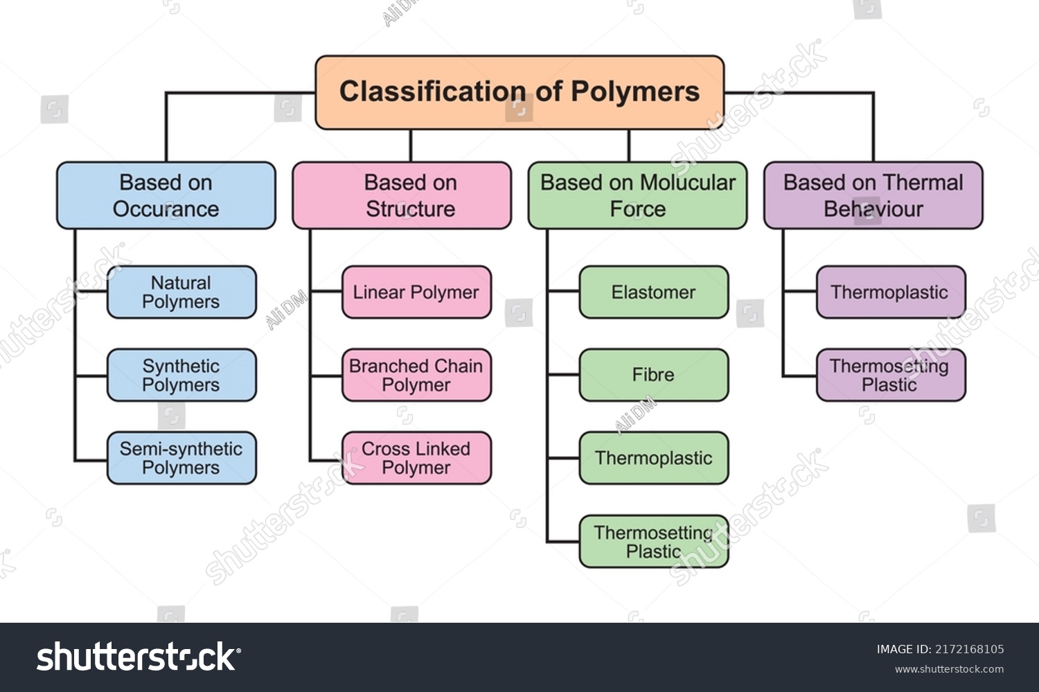 Classification Polymers Polymers Types Vector Illustration Stock Vector ...