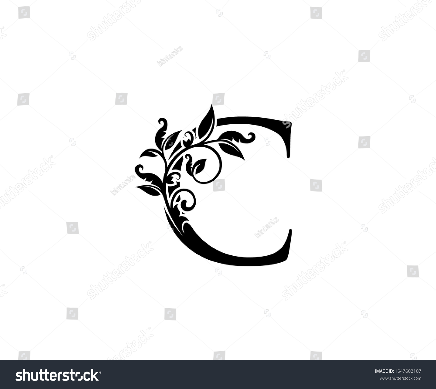 Classy Elegant Letter D Graceful Royal Stock Vector (Royalty Free ...