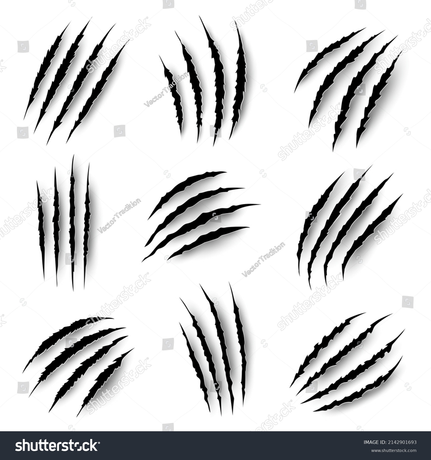 Claws Marks Scratches Wild Animals Vector Stock Vector (Royalty Free ...