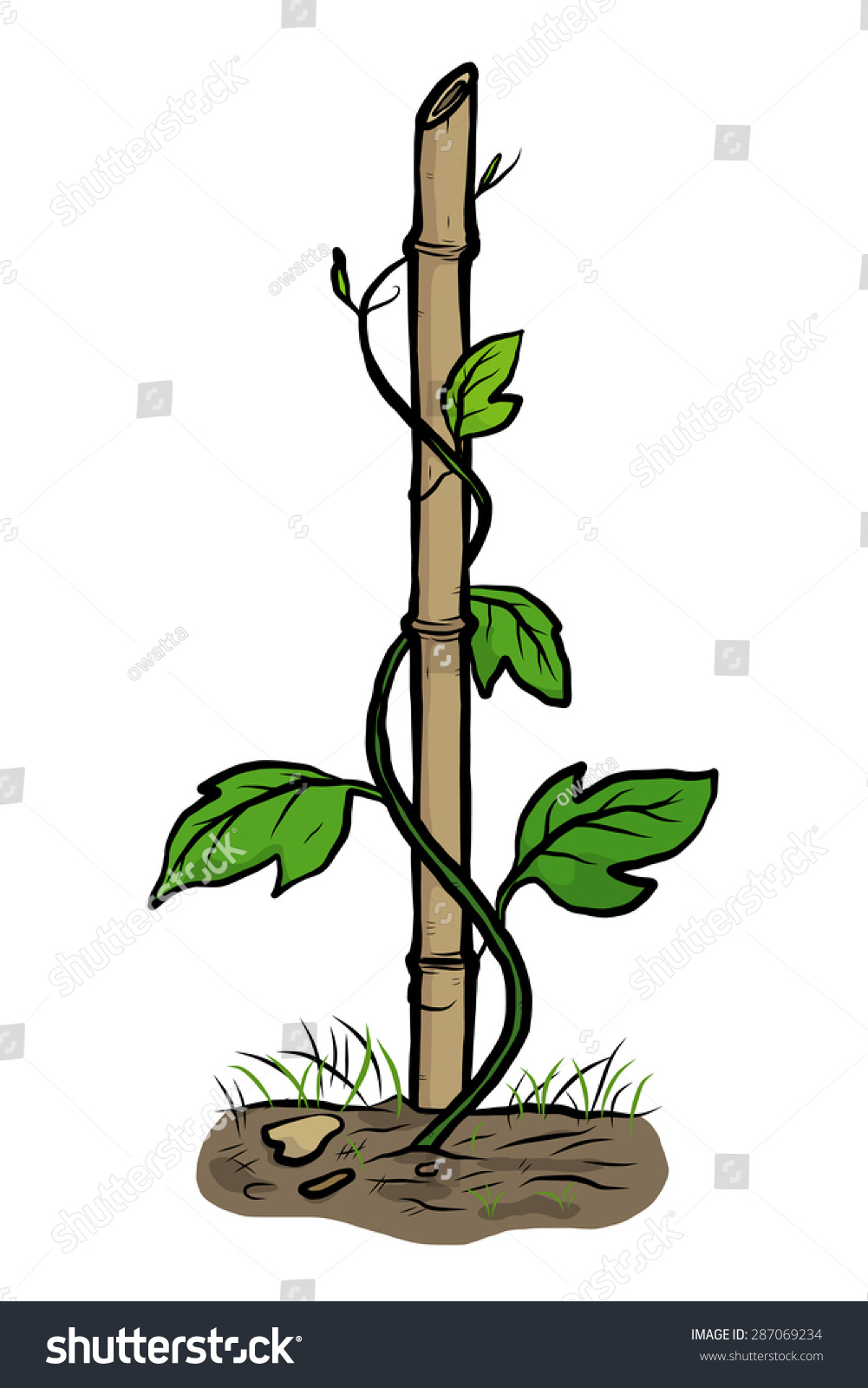 Climber Plants Creeping Bamboo Cartoon Vector Stock Vector 287069234 ...