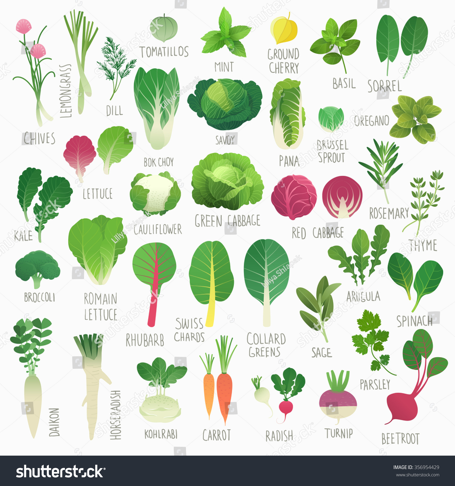 Clip Art Food Collection Vol1 Vegetables Stock Vector (Royalty Free ...