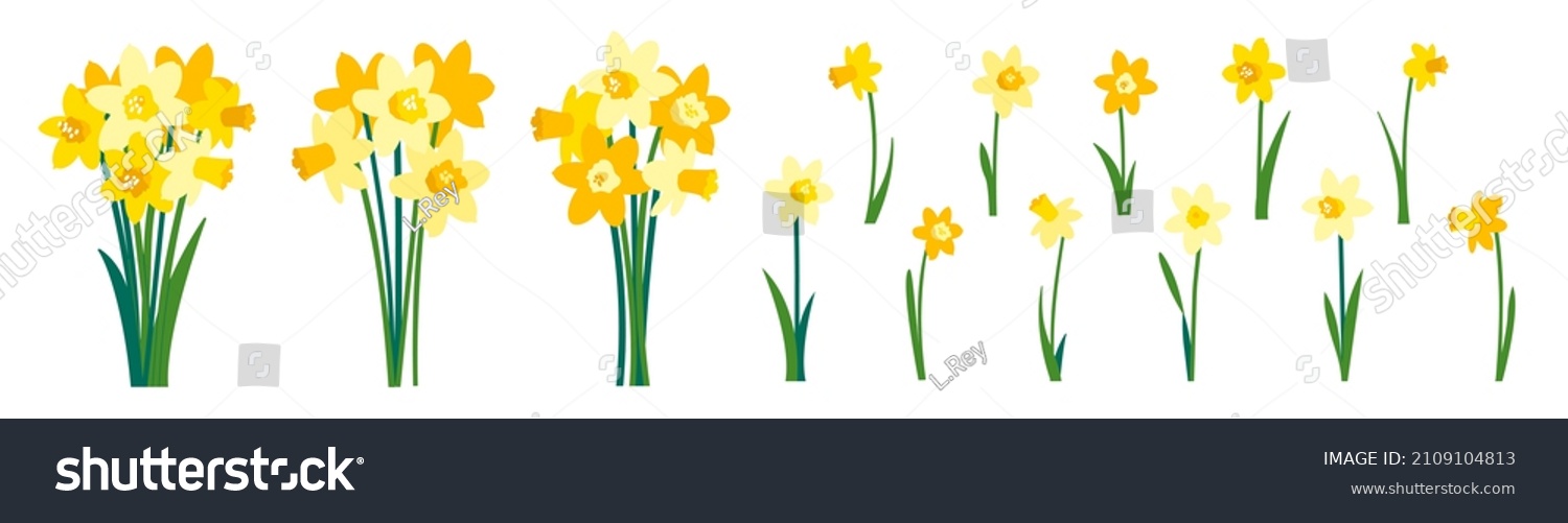 SVG of Clip art of yellow daffodils and spring bouquet of narcissus flowers isolated on white svg