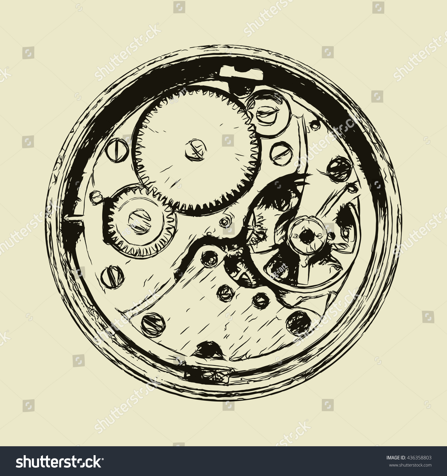 download evolution of fungi and fungal like organisms 2011