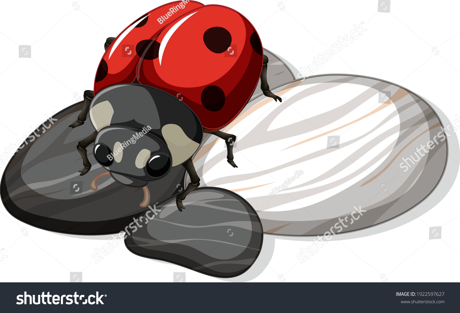 39,862 Ladybug cartoon Images, Stock Photos & Vectors | Shutterstock