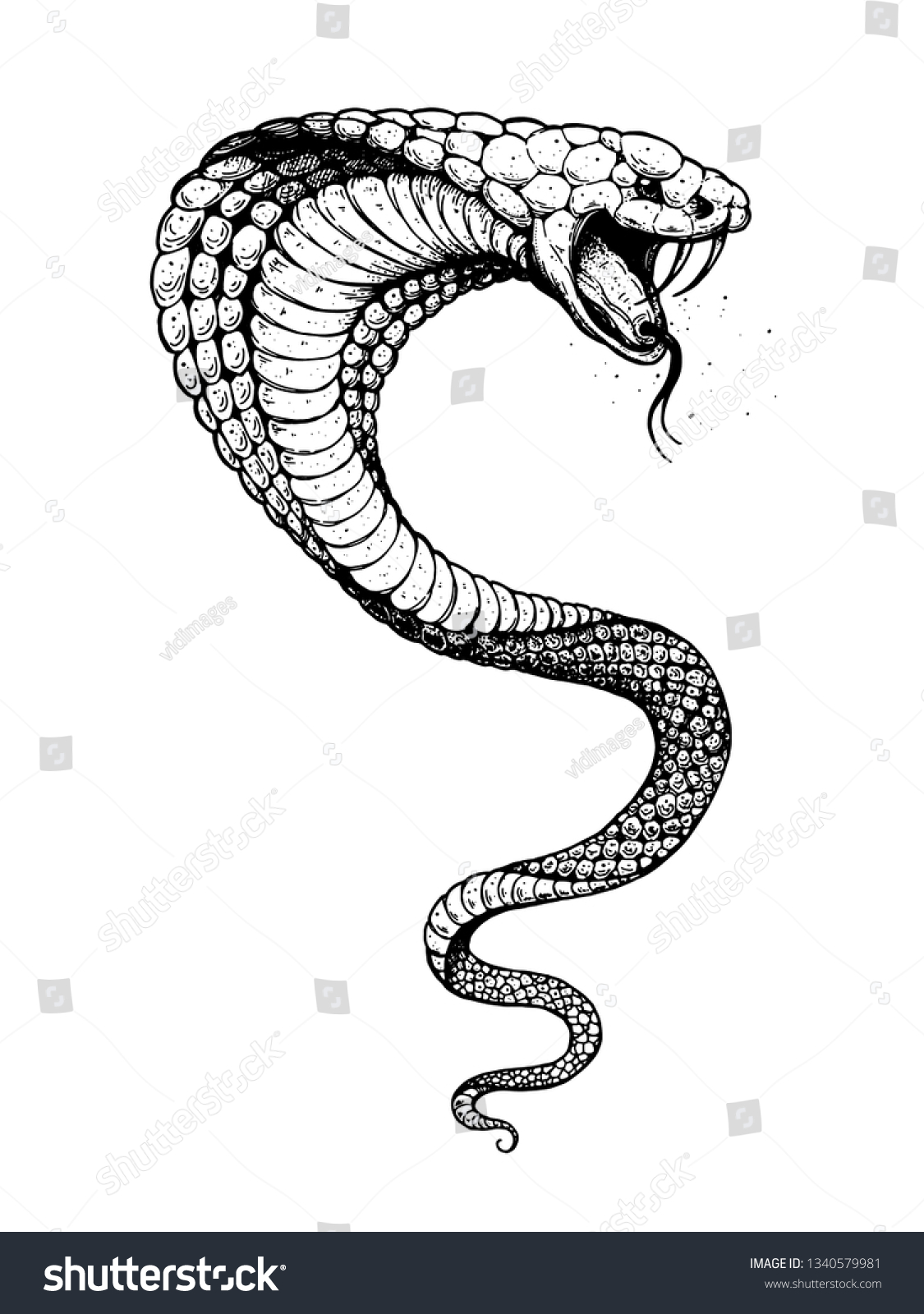 Cobra Snake Hand Drawn Illustration Tattoo Stock Vector (Royalty Free ...