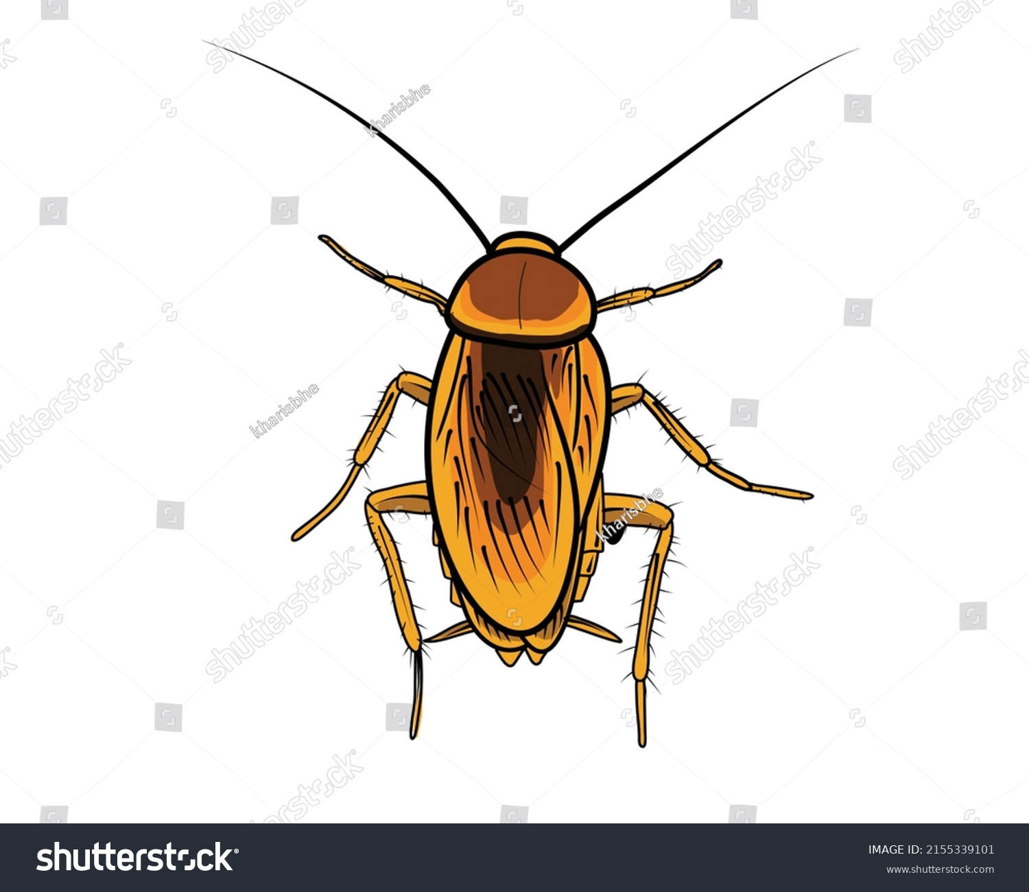 Cockroach Symbol Sign Illustration Design Editable Stock Vector ...