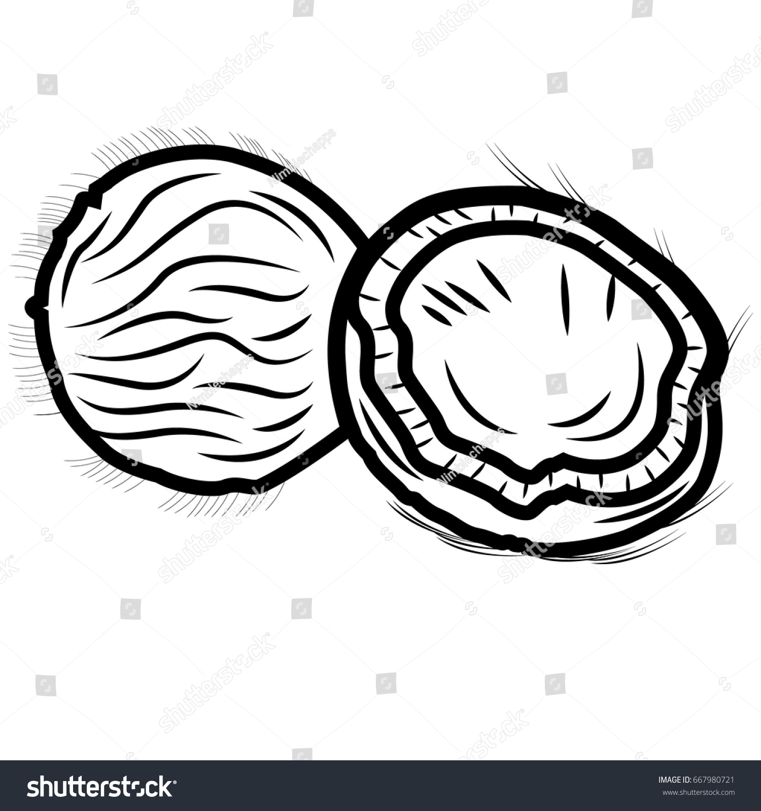 Coconut Dry Fruits Outline Stock Vector (Royalty Free) 667980721