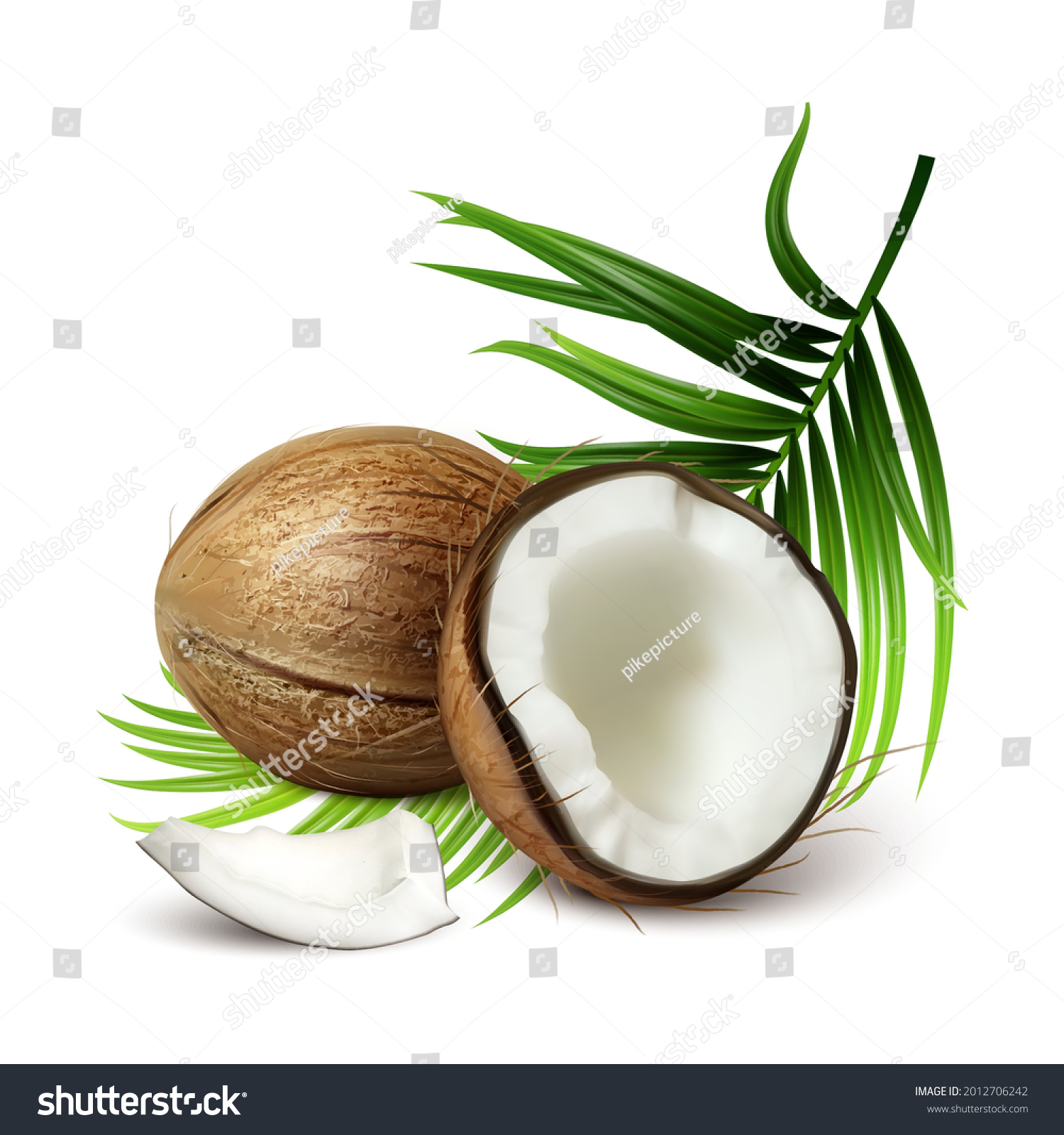 SVG of Coconut Fresh Tropical Nut And Tree Leaves Vector. Whole And Crashed Vegetarian Natural Ripe Coconut, Tasty Vitamin Nutrition. Milky Coco And Palm Branch Template Realistic 3d Illustration svg