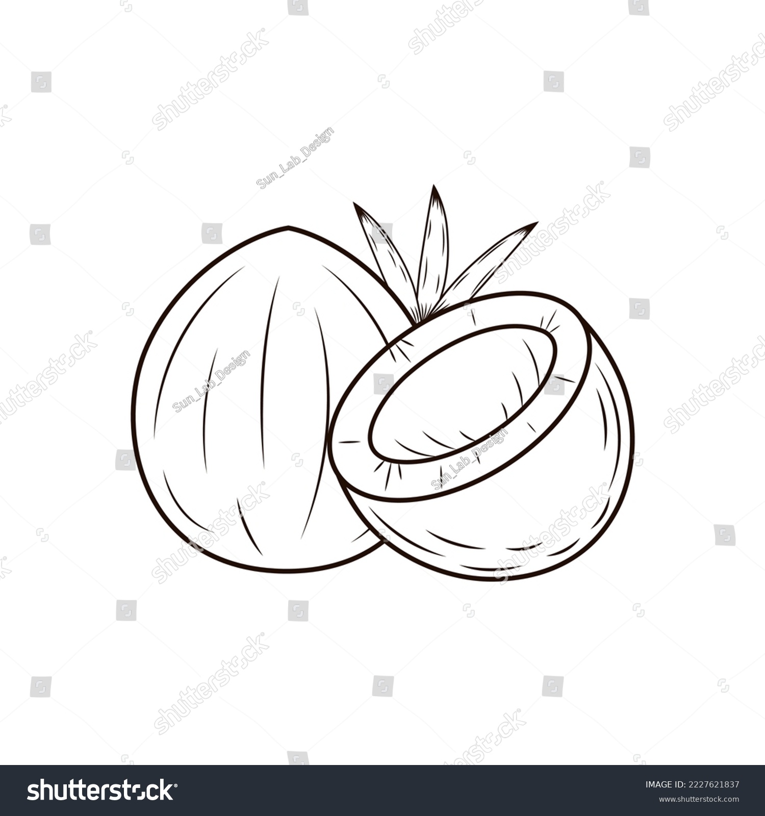 SVG of Coconut. Half and whole nut with leaves. Cartoon line art icon, exotic tropical fruit. Food packaging design. Contour isolated vector illustration svg