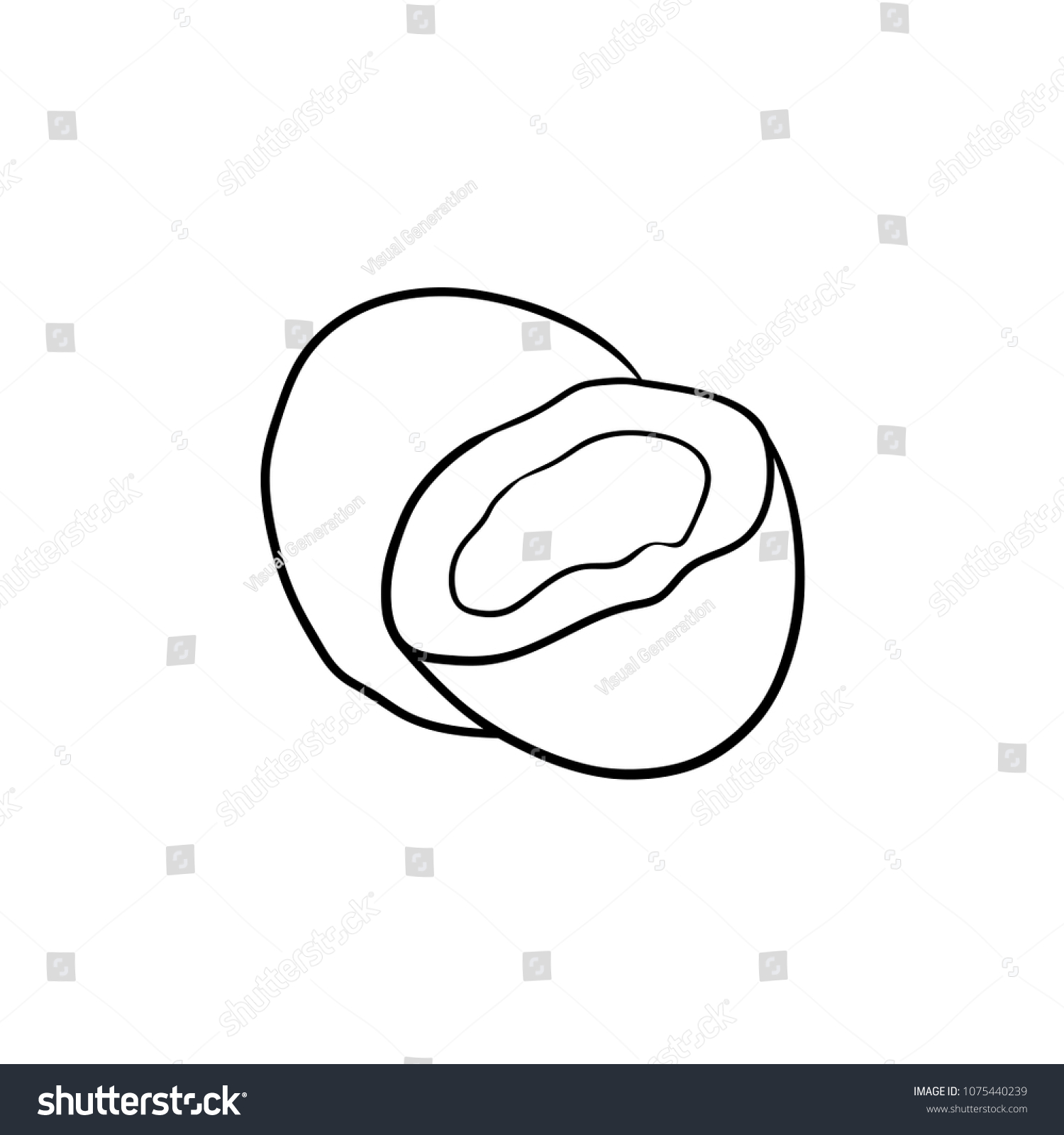 Coconut Hand Drawn Outline Doodle Icon Stock Vector (Royalty Free ...