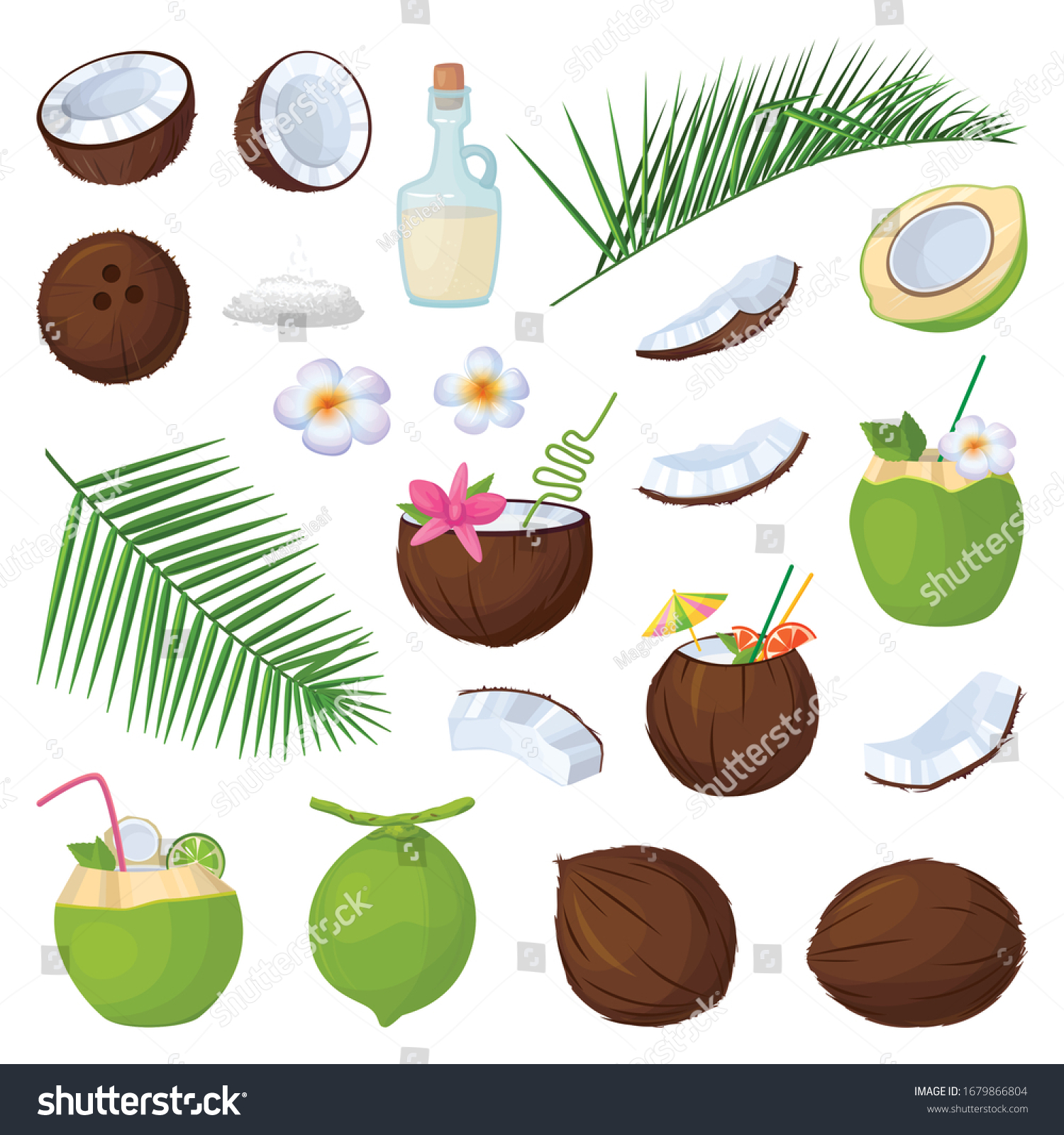 SVG of Coconut isolated cartoon set icon. Vector illustration coco on white background. Vector cartoon set icon coconut. svg
