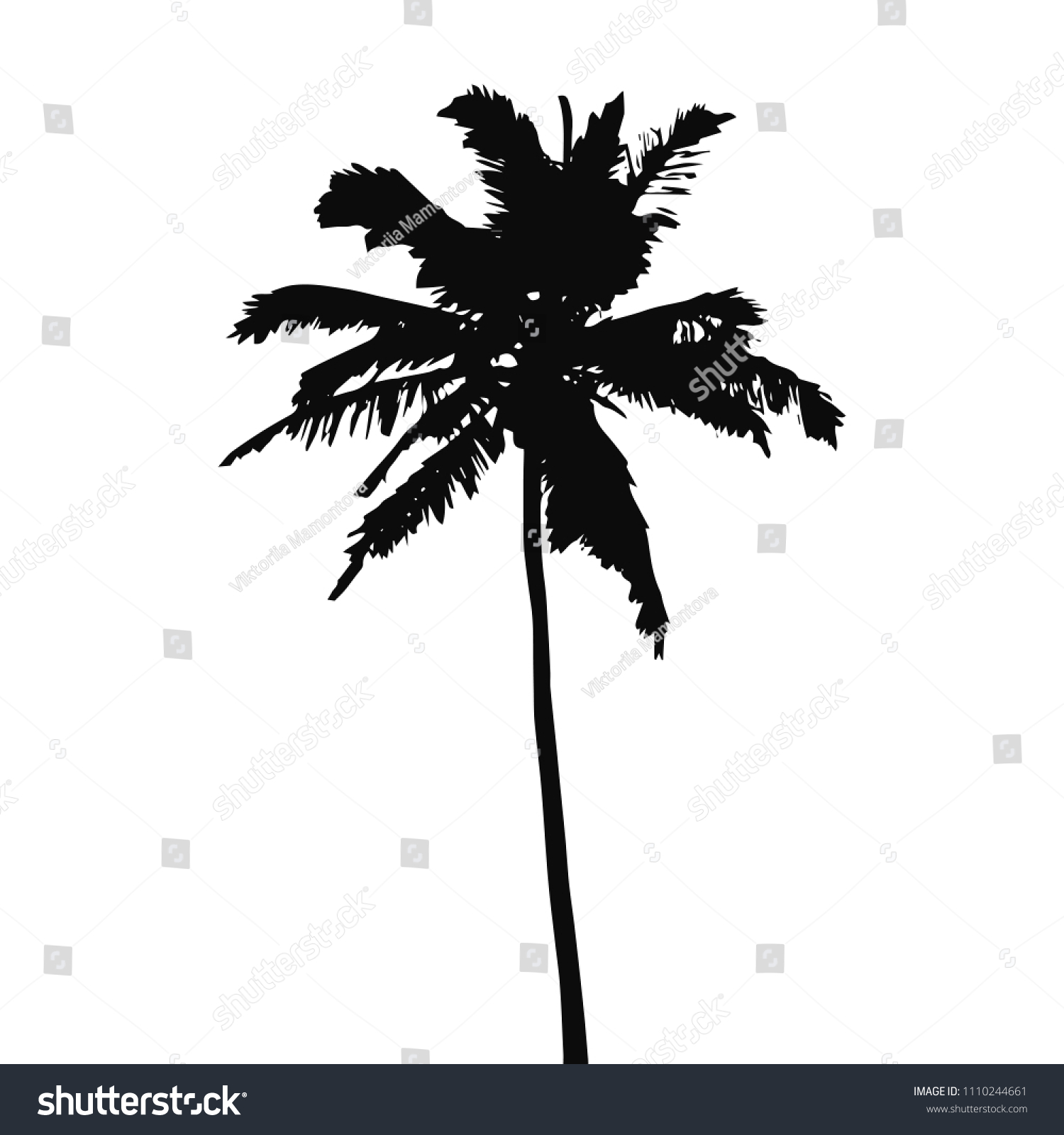 Coconut Palm Tree Black Silhouette Isolated vector de stock libre de regalías