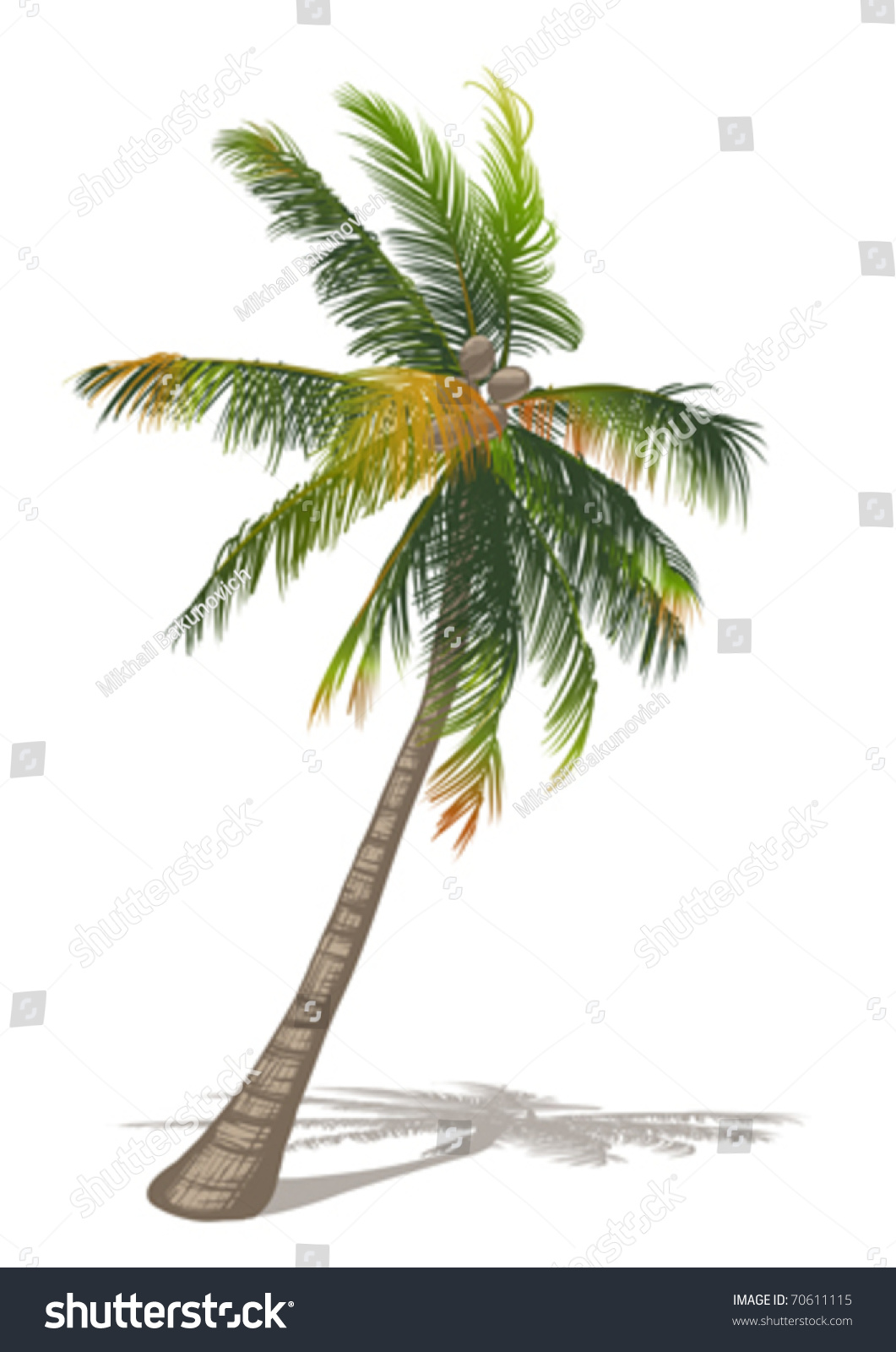 coconut palm tree The coconut palm tree is the world’s symbol for relaxation you can grow your very own by meeting these conditions and it will reward you with bountiful fruits. coconut palm tree The coconut palm tree is the world’s symbol for relaxation you can grow your very own by meeting these conditions and it will reward you with bountiful fruits.
