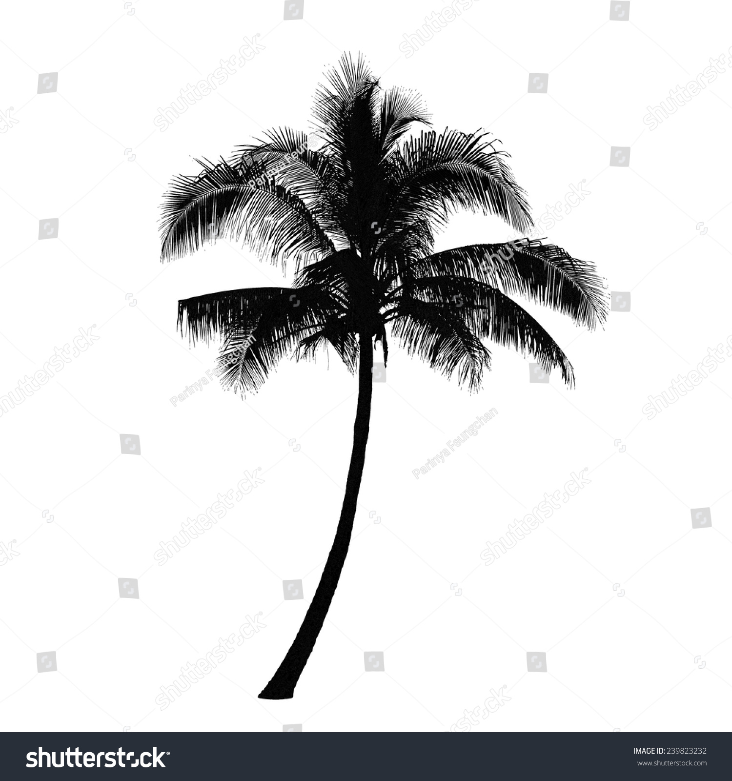 Coconut Palm Tree Silhouette Vector Stock Vector (Royalty Free) 239823232