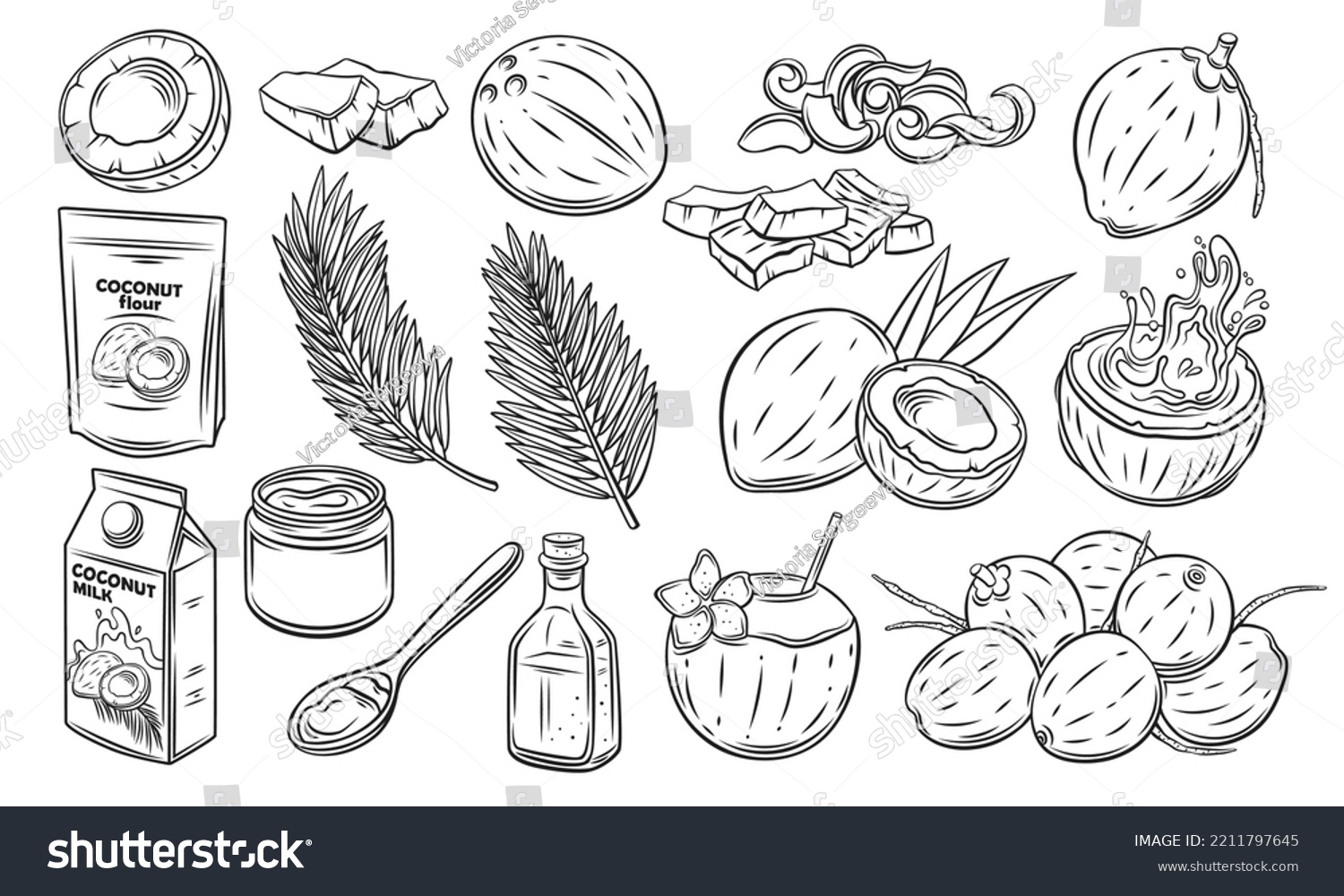 SVG of Coconut set, outline icon vector illustration. Hand drawn black line palm tree leaf from summer beach, whole tropical fruit and cut into slices, exotic cocktail, coconut milk and oil for cooking svg