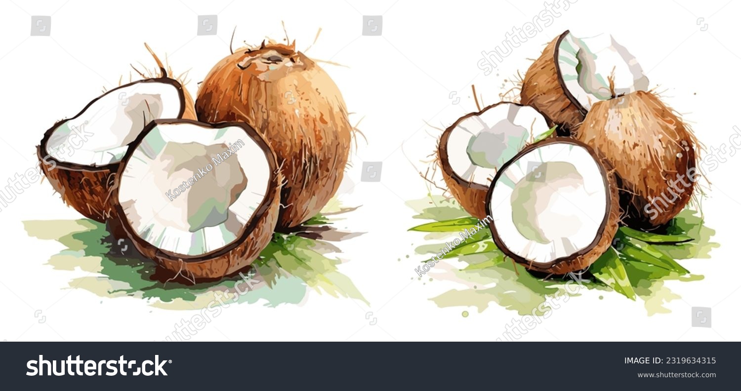 SVG of Coconuts, watercolor painting style illustration. Vector set. svg