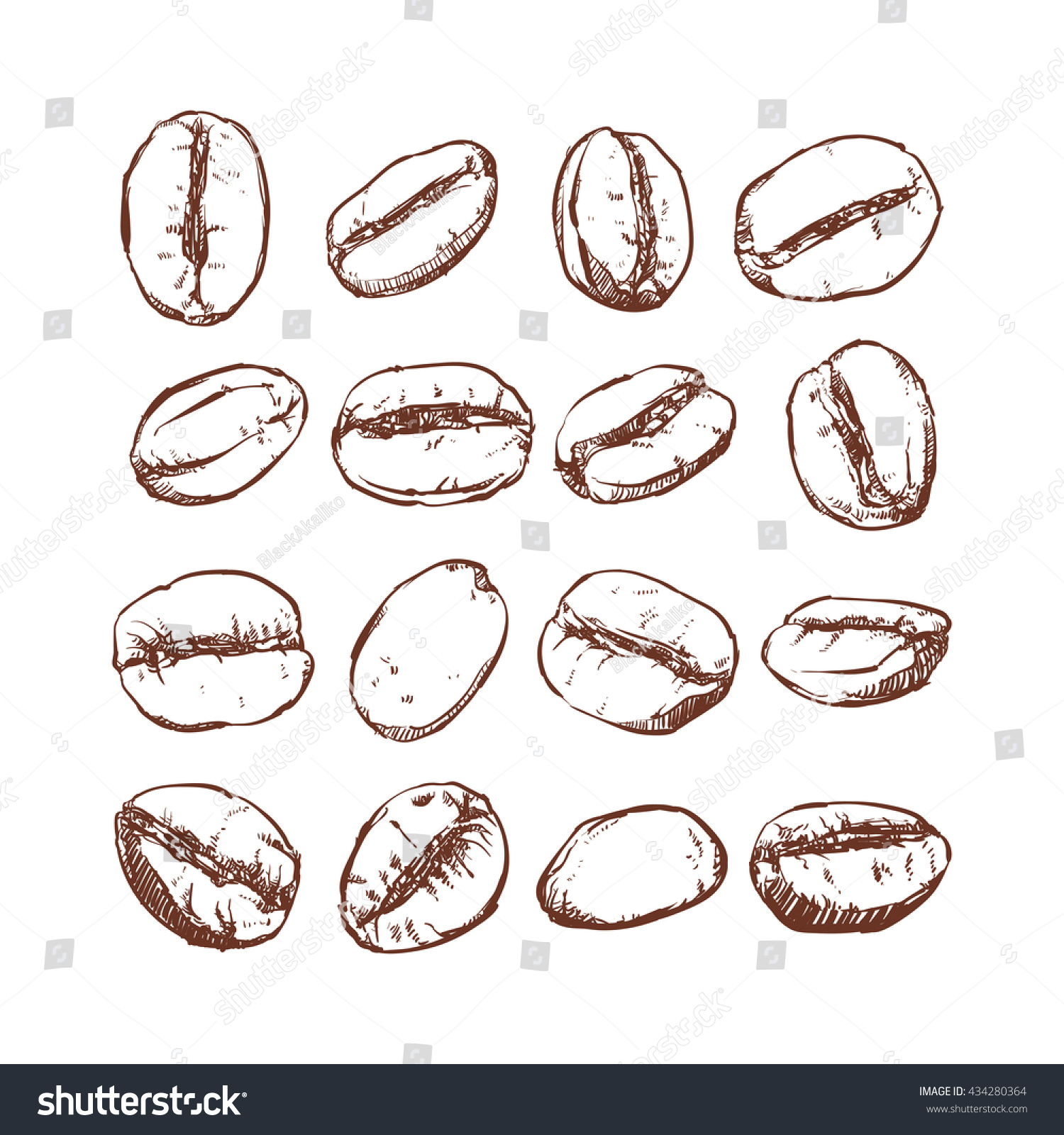 Coffee Bean Isolated Hand Drawn Vector Stock Vector (Royalty Free