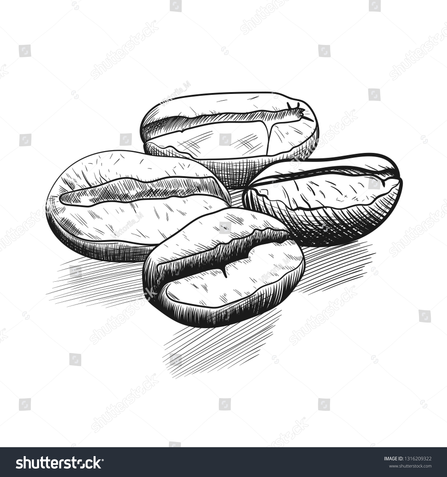 Coffee Beans Hand Drawing Sketch Vector Stock Vector (Royalty Free ...