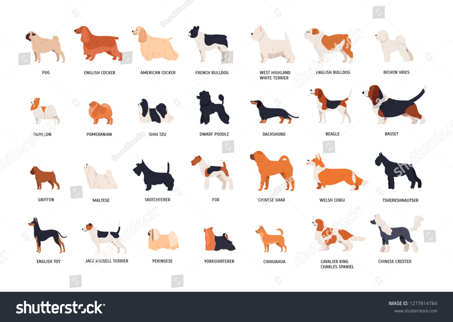 Collection Adorable Dogs Various Breeds Isolated Stock Vector (Royalty ...