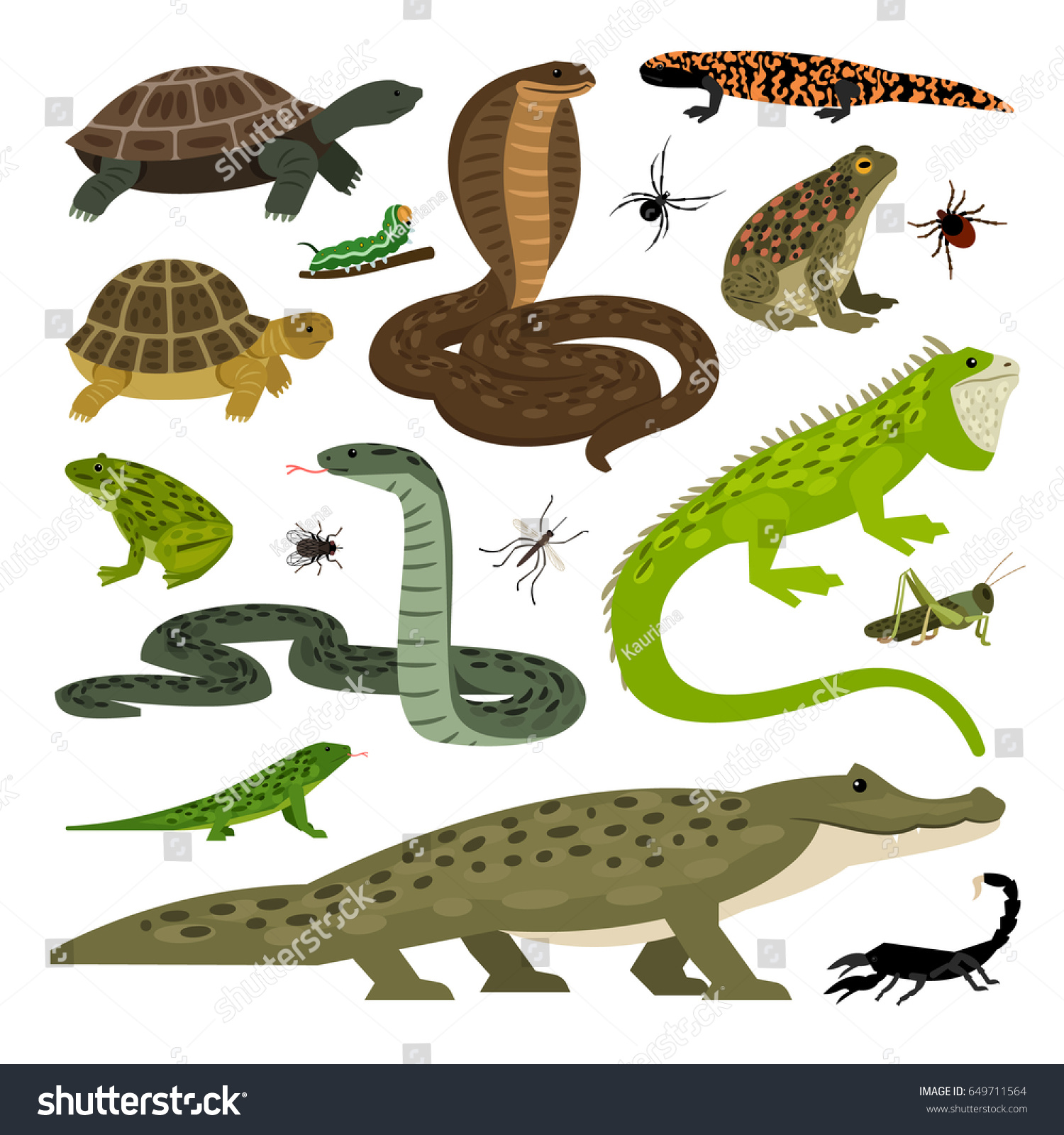 489 Scorpion lizard Images, Stock Photos & Vectors | Shutterstock