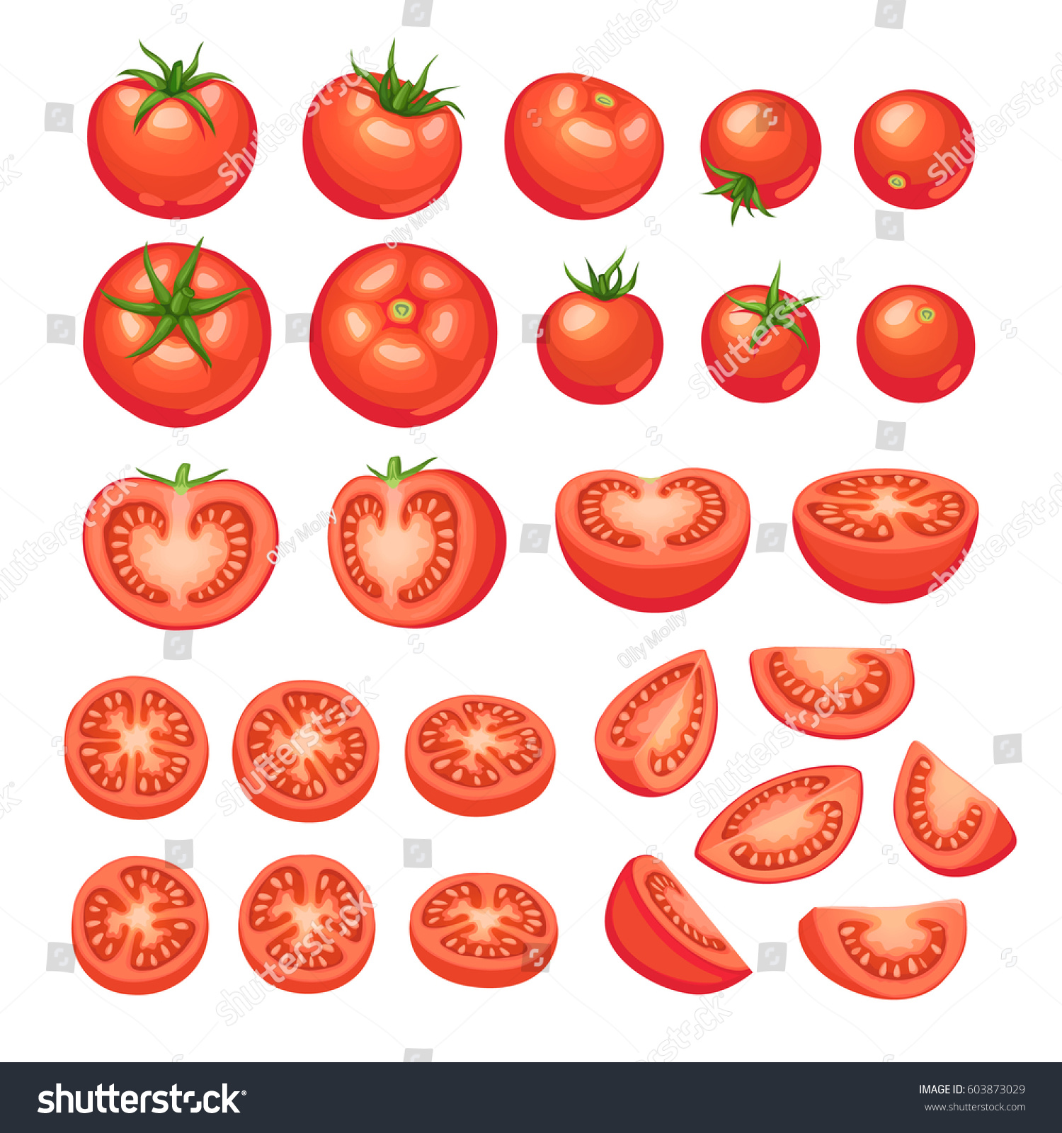 Collection Chopped Tomatoes Isolated On White Stock Vector 603873029 ...