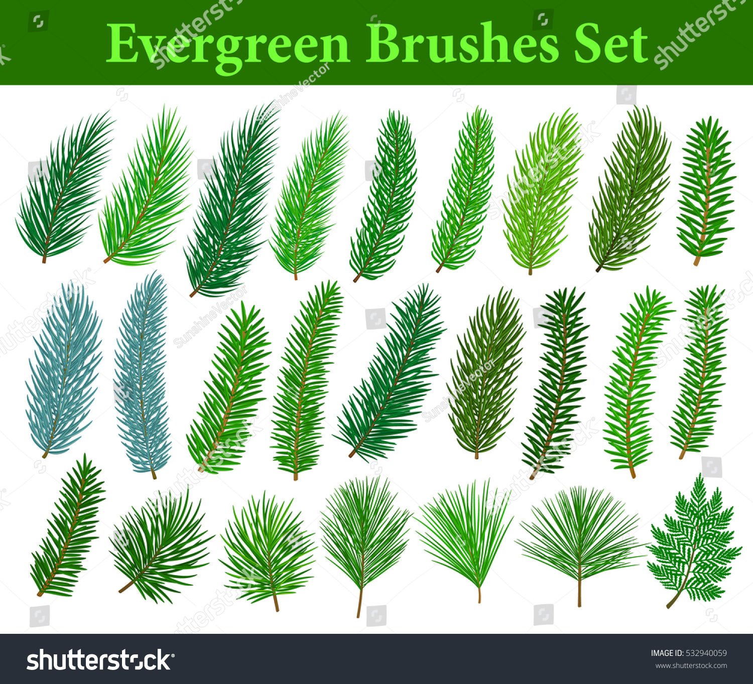 Collection Evergreen Coniferous Trees Branches Brushes Stock Vector