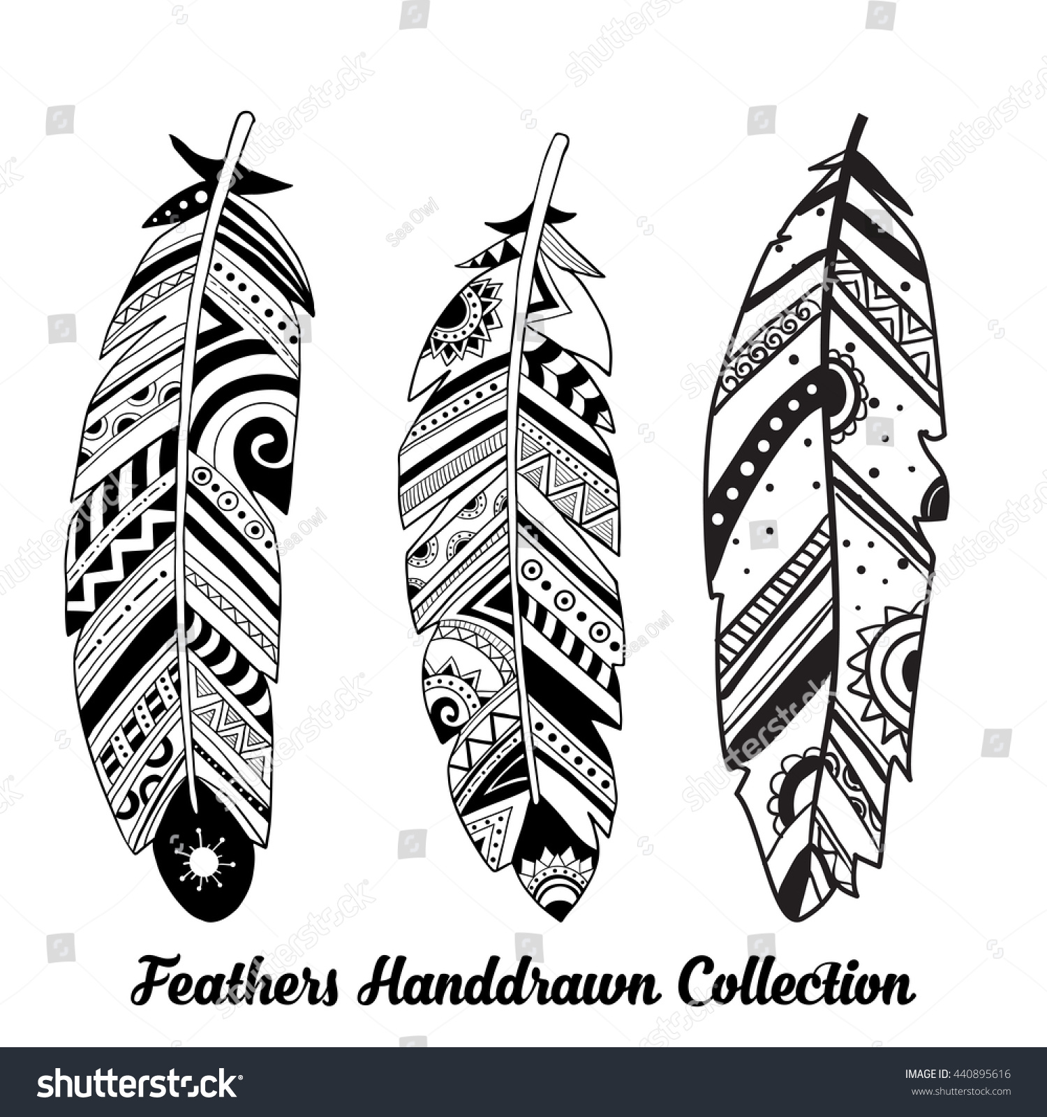 Collection Hand Drawn Feather Vector Ink Stock Vector 440895616 ...