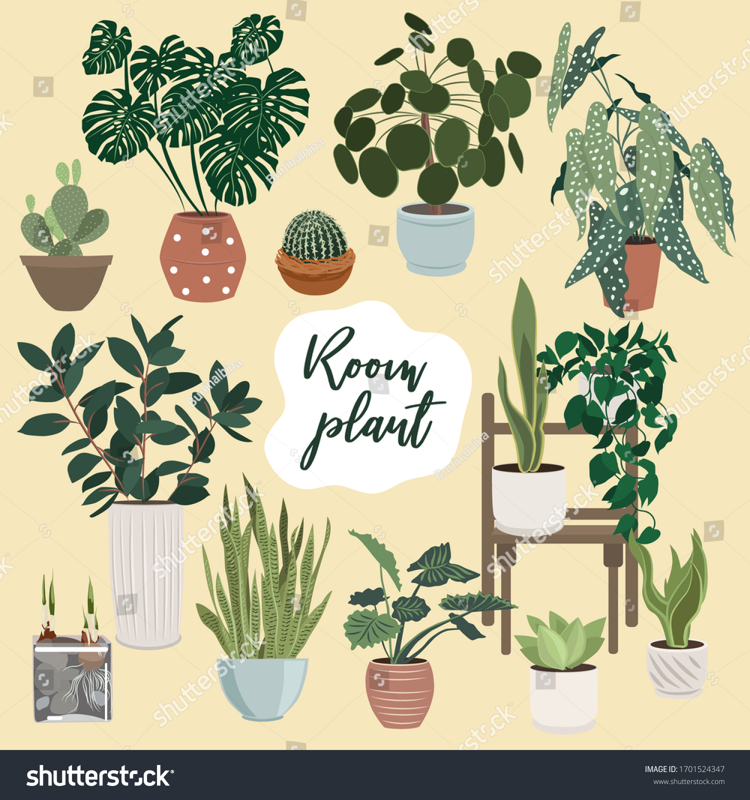 Collection Indoor Plants Vector Illustration Stock Vector (royalty Free 