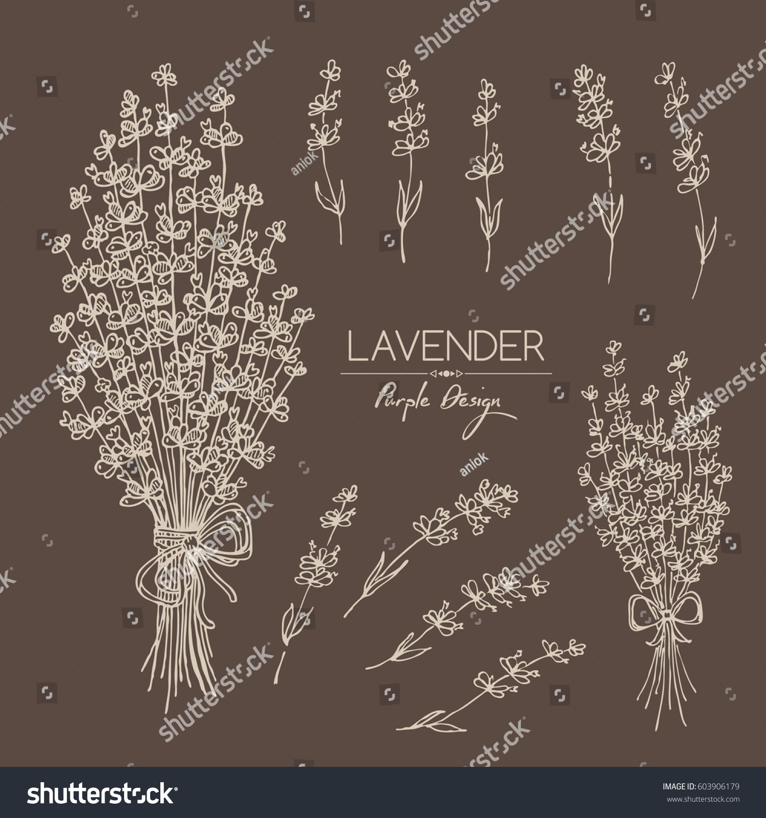 Collection Lavender Hand Drawn Stock Vector (Royalty Free) 603906179