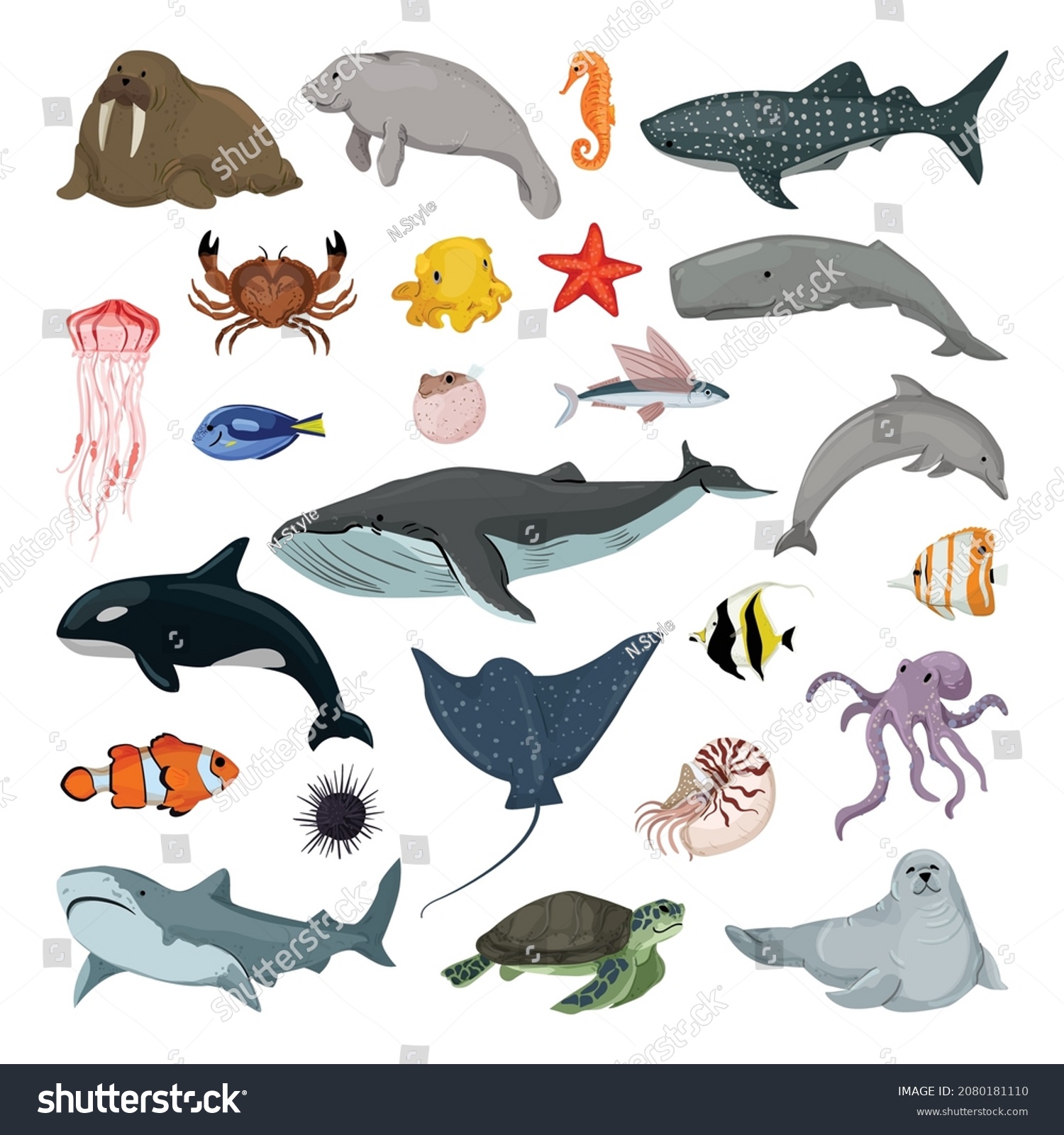SVG of Collection of marine life. Animals living in the sea and the ocean. Flat illustrations. svg