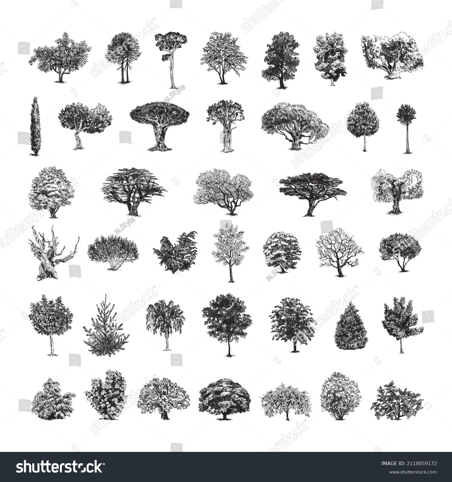 SVG of Collection of monochrome illustrations of trees in sketch style. Hand drawings in art ink style. Black and white graphics. svg
