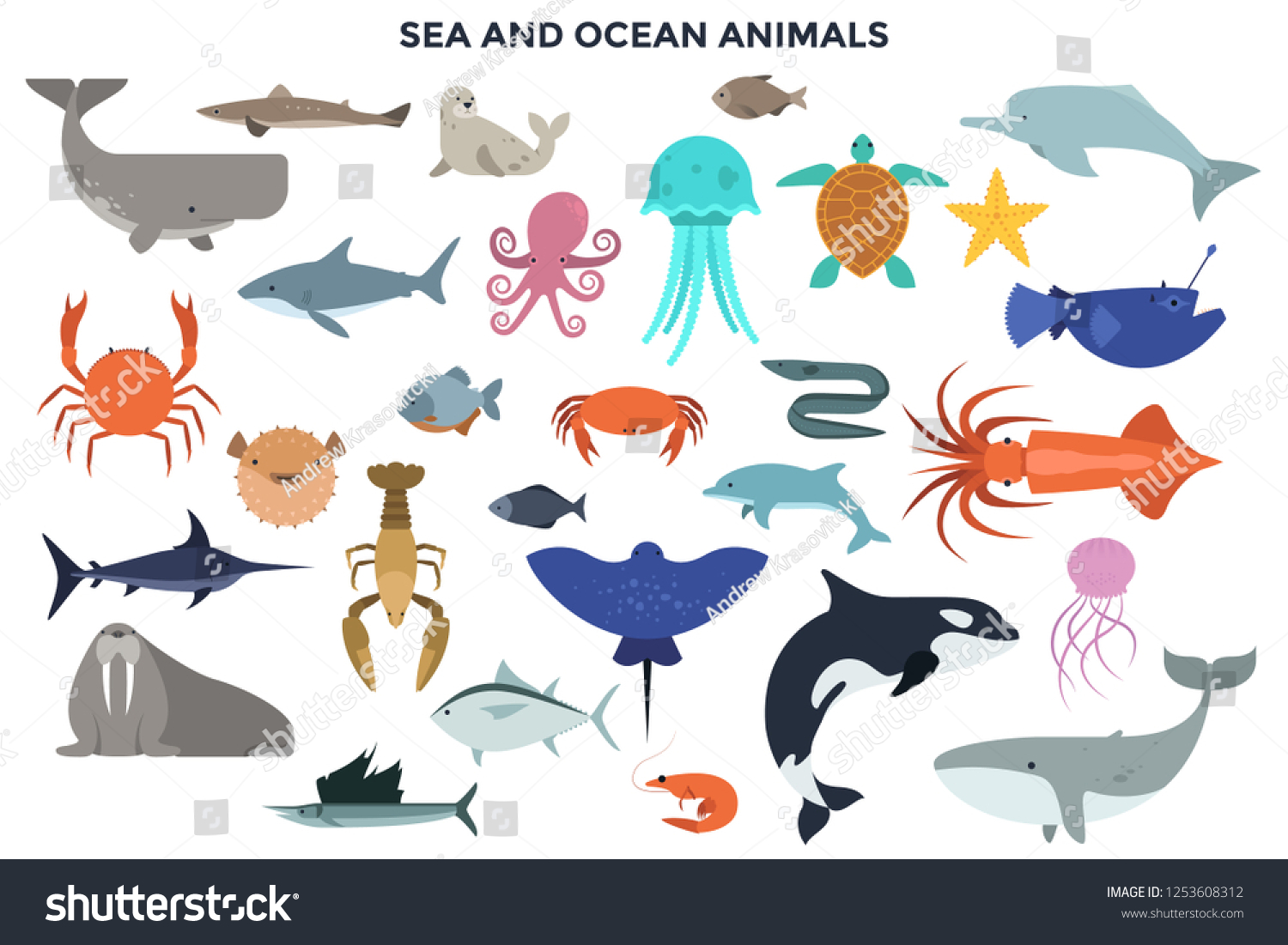 Collection Sea Ocean Animals Marine Mammals Stock Vector Royalty Free