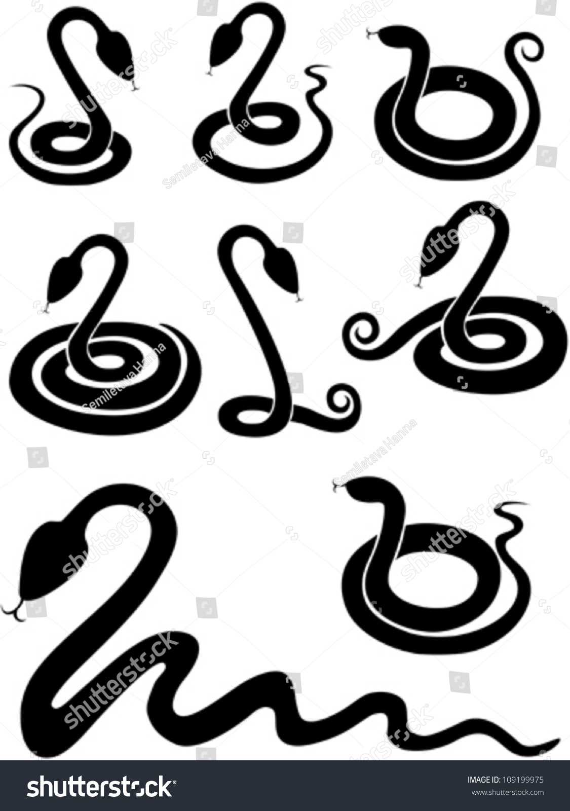 Collection Of Snakes Isolated On White Background. Vector Illustration ...