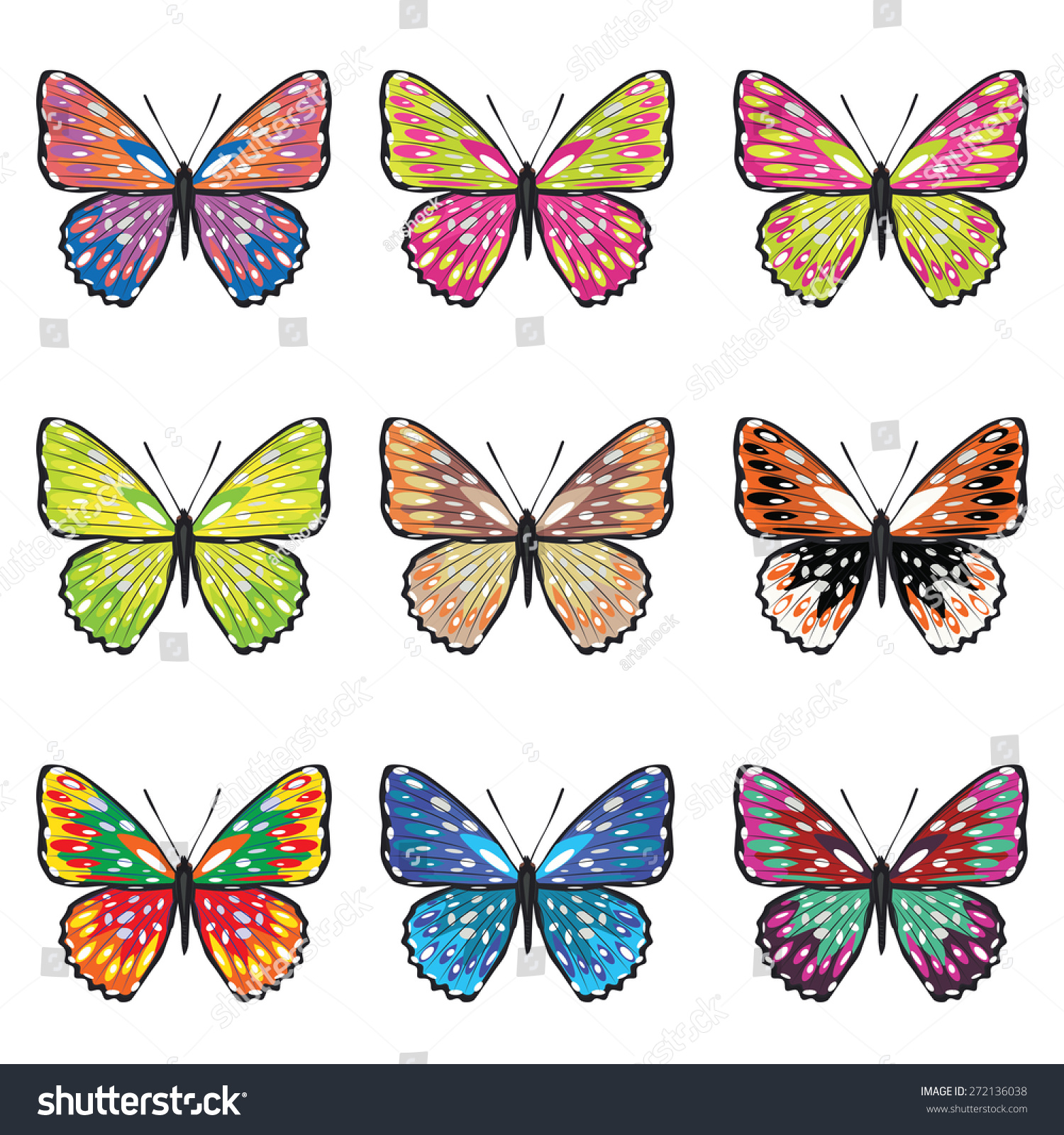 Collection Of Summer Butterflies In Different Colors On White ...