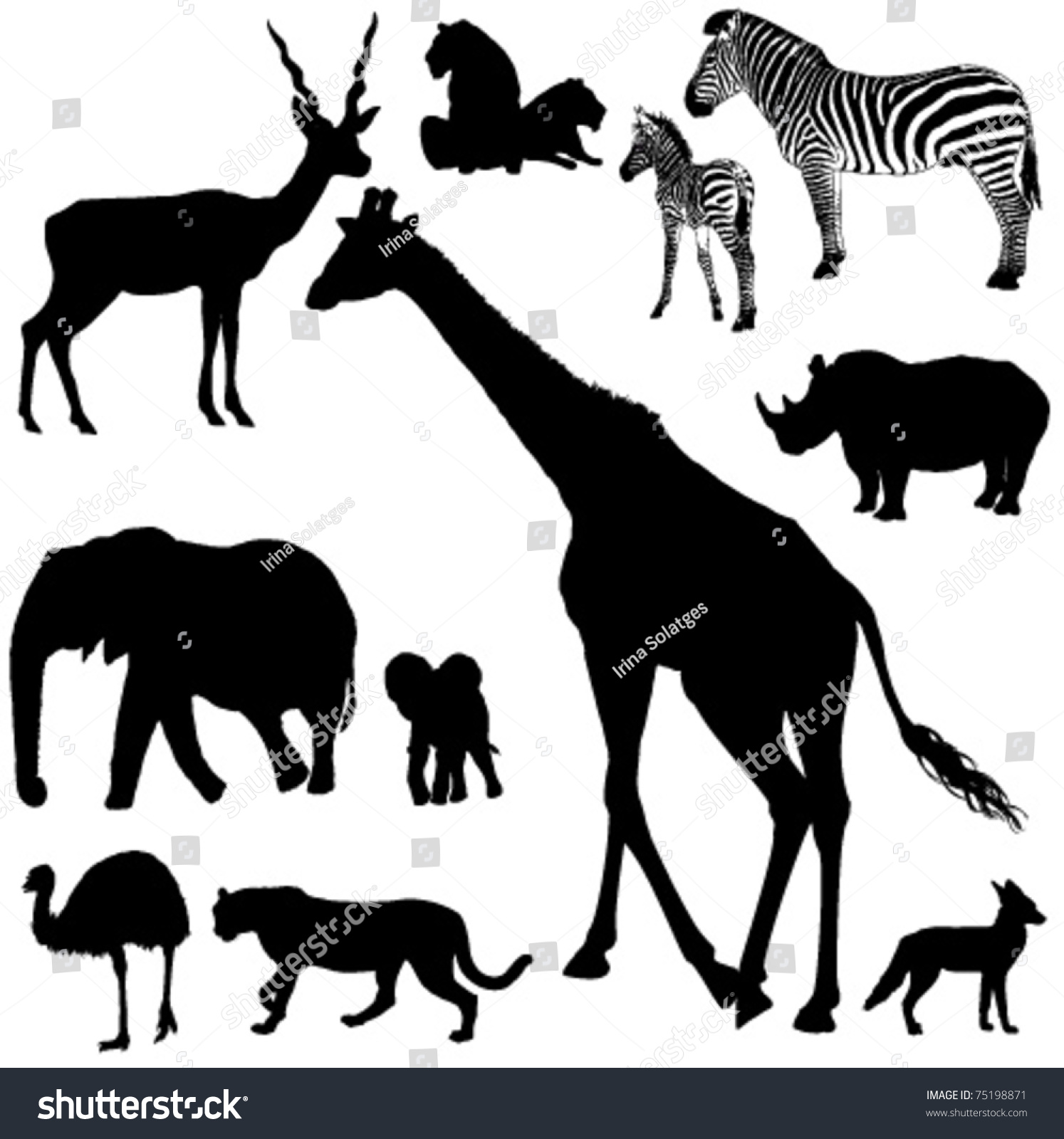 Collection Vector Silhouettes African Animals Stock Vector 75198871 ...