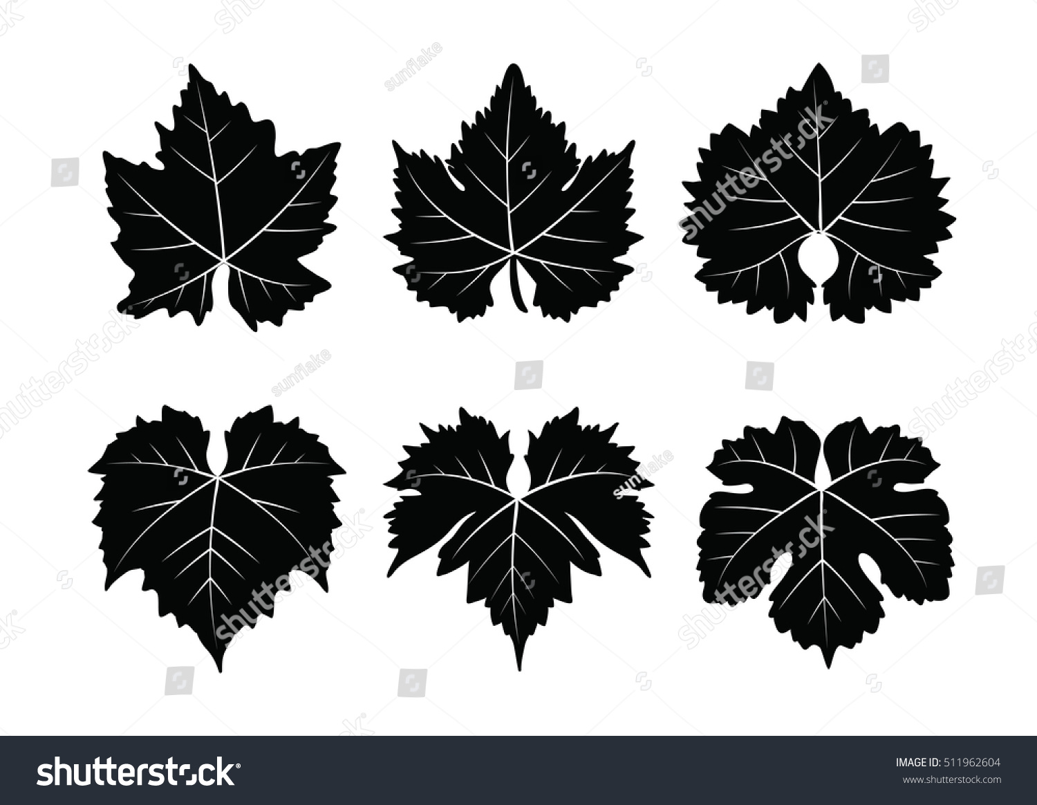 Collection Vector Wine Leaves Isolated On Stock Vector 511962604