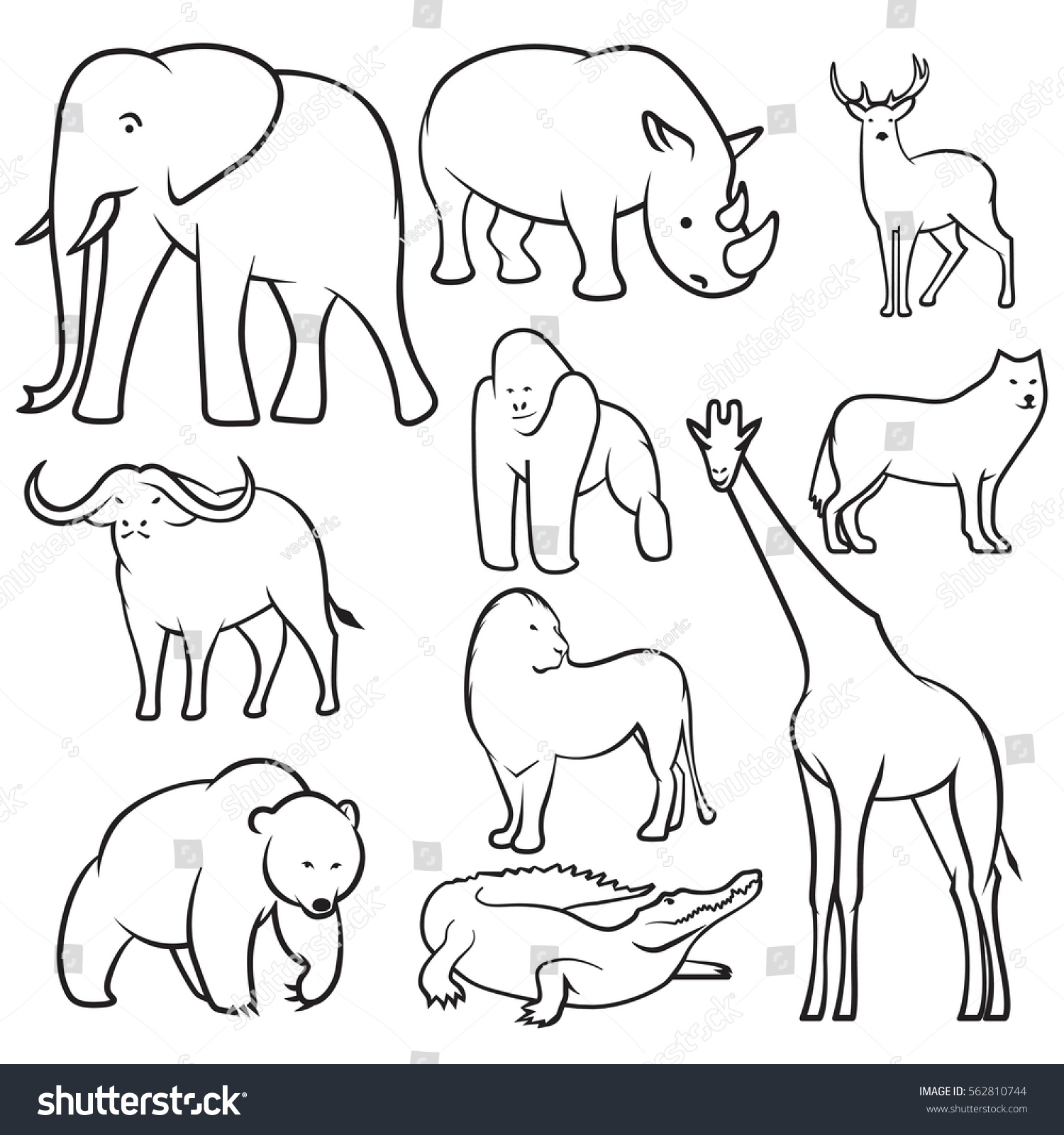 Collection Wild Animals Sketches Vector Animal Stock Vector