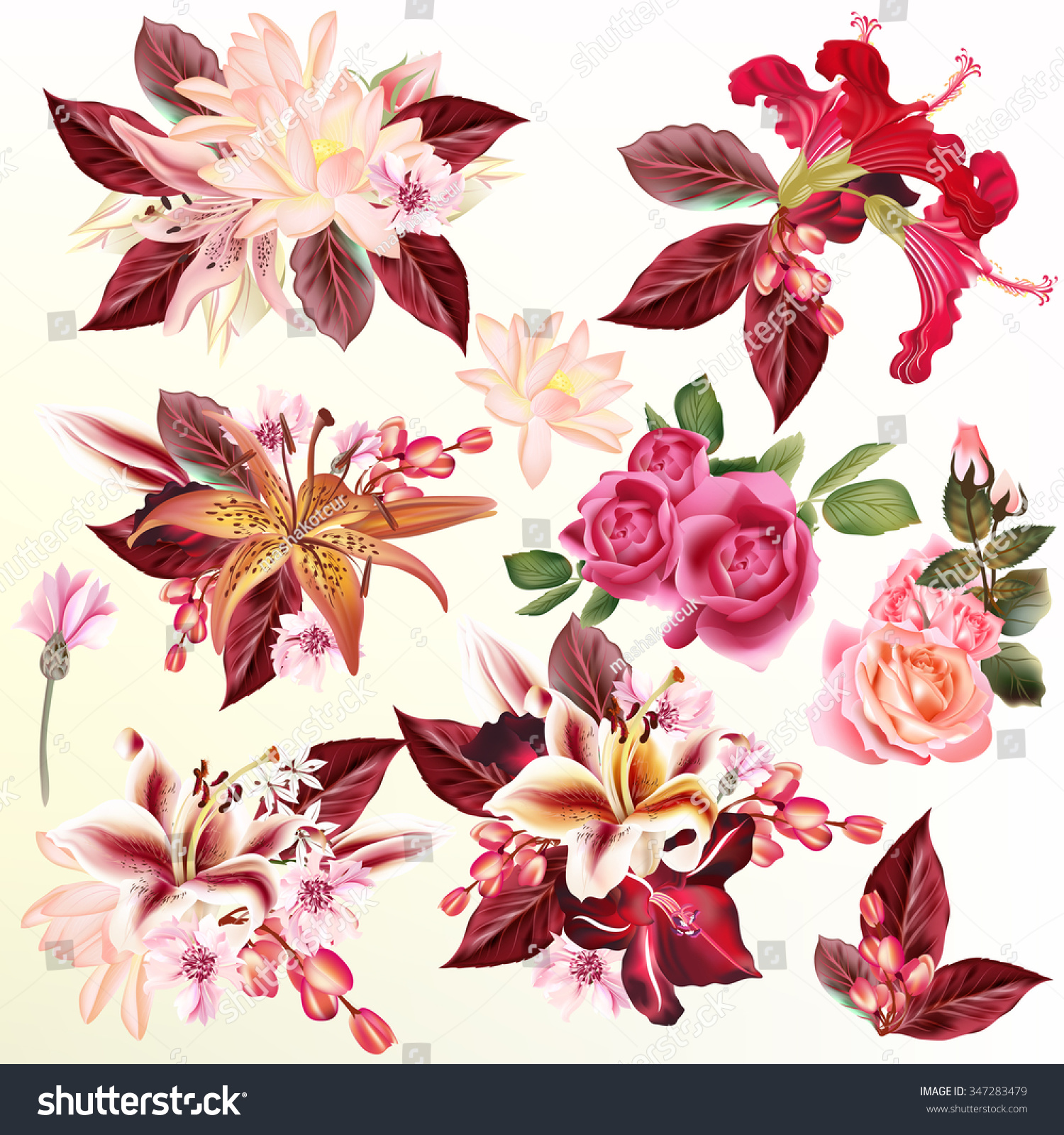 Vetor stock de Collection Set Realistic Vector Flowers Lily (livre de