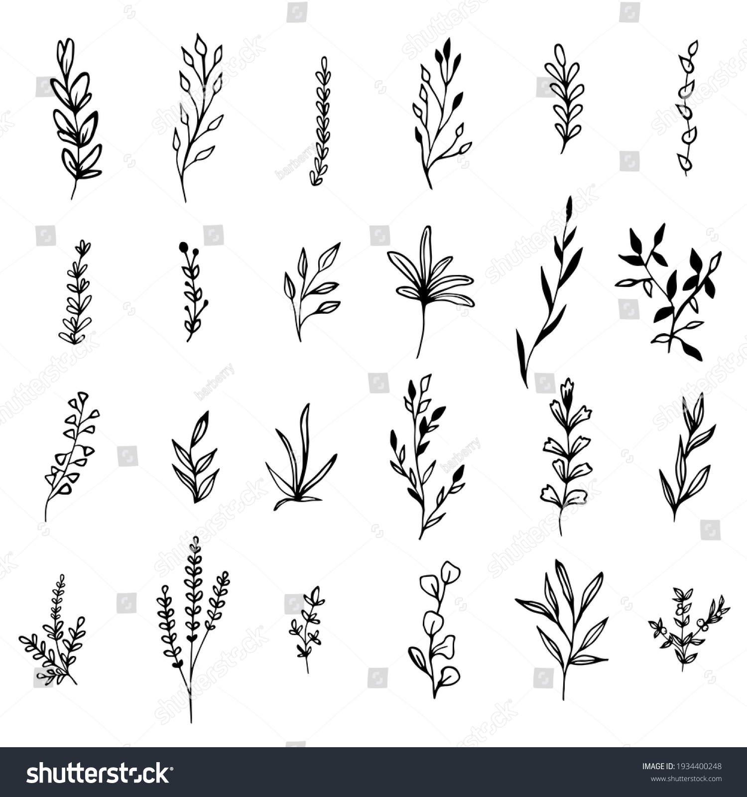 black and white botanical branches collection clip art preview