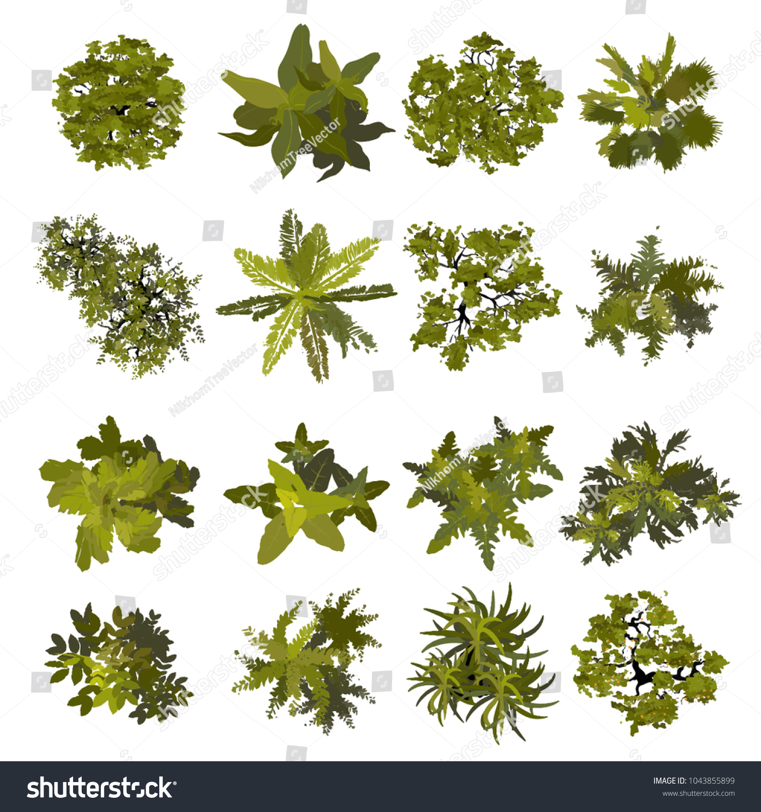 Collection Trees Top View Landscape Vector 库存矢量图(免版税)1043855899 ...