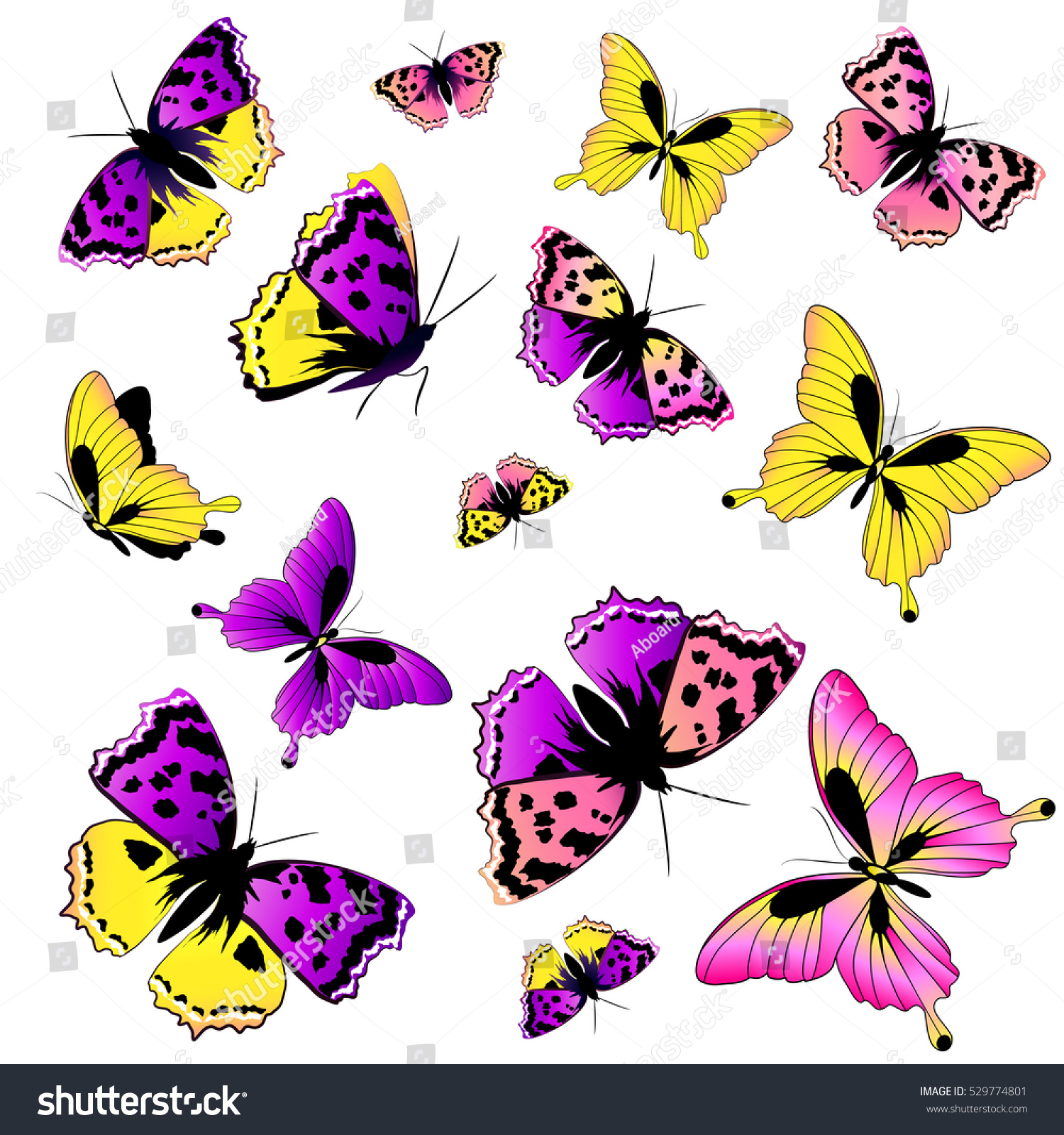 Color Butterflies,Isolated On A White Stock Vector 529774801 : Shutterstock