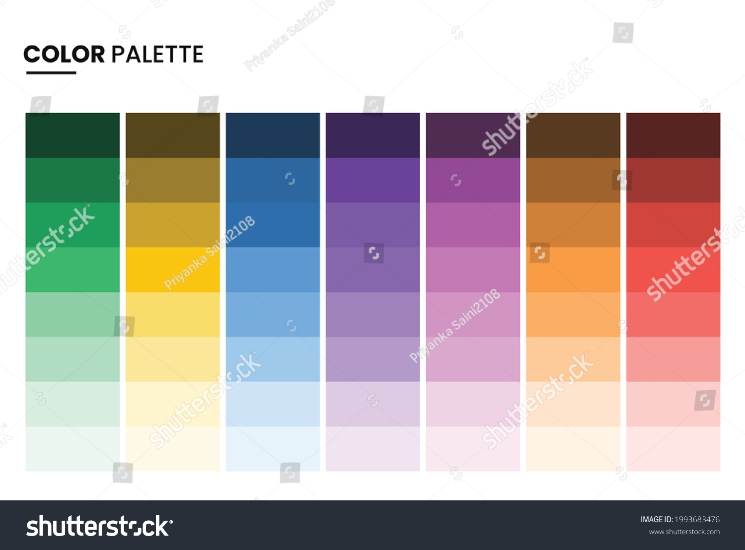 Color Palette Shade Card Color Theory Theme Guide Harmony Vector Stock